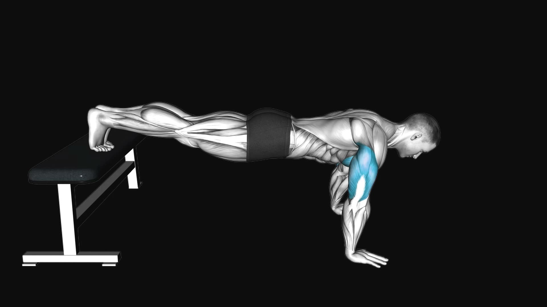 Decline Push-Up