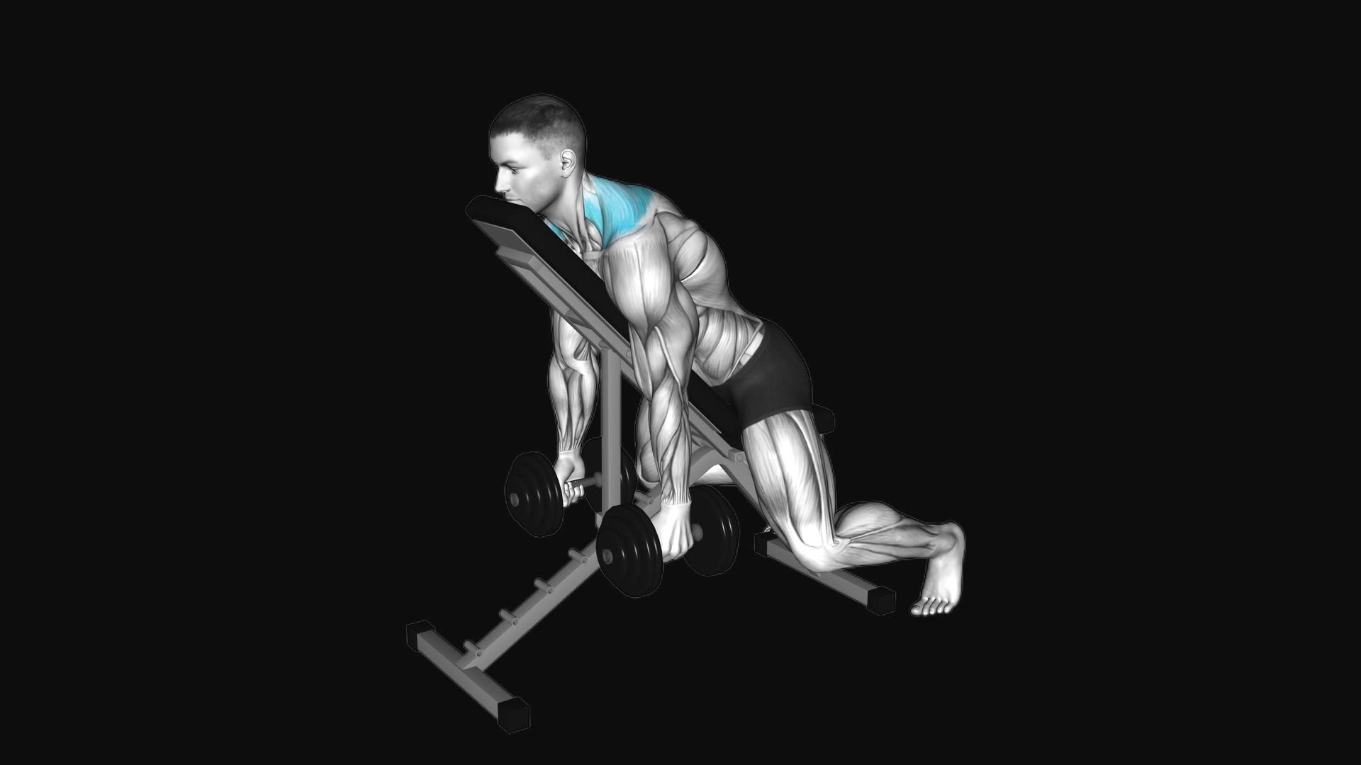 Dumbbell Decline Shrug