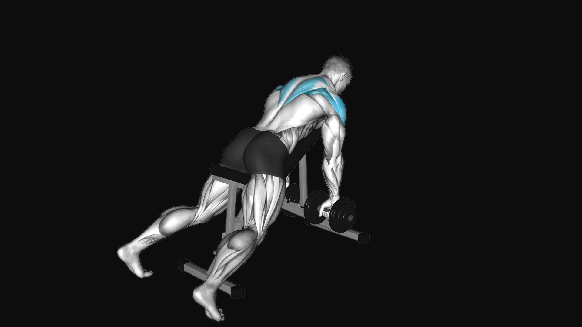 Dumbbell Incline Row