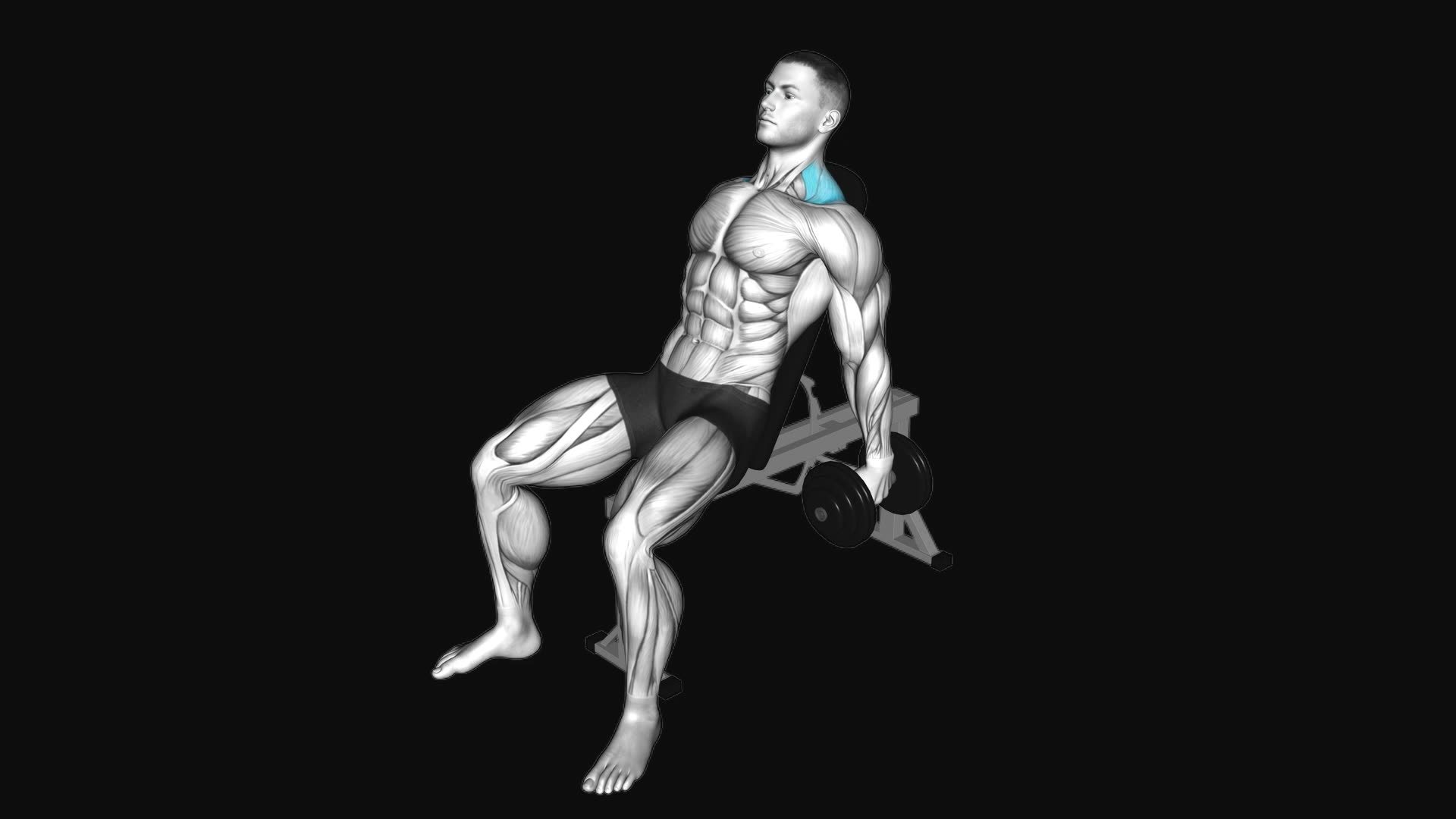 Dumbbell Incline Shrug