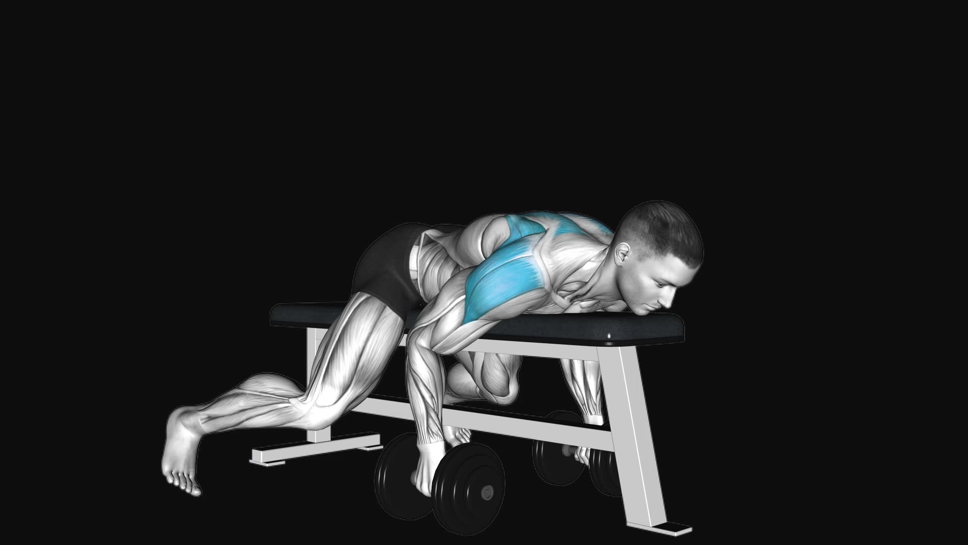 Dumbbell Lying Rear Lateral Raise