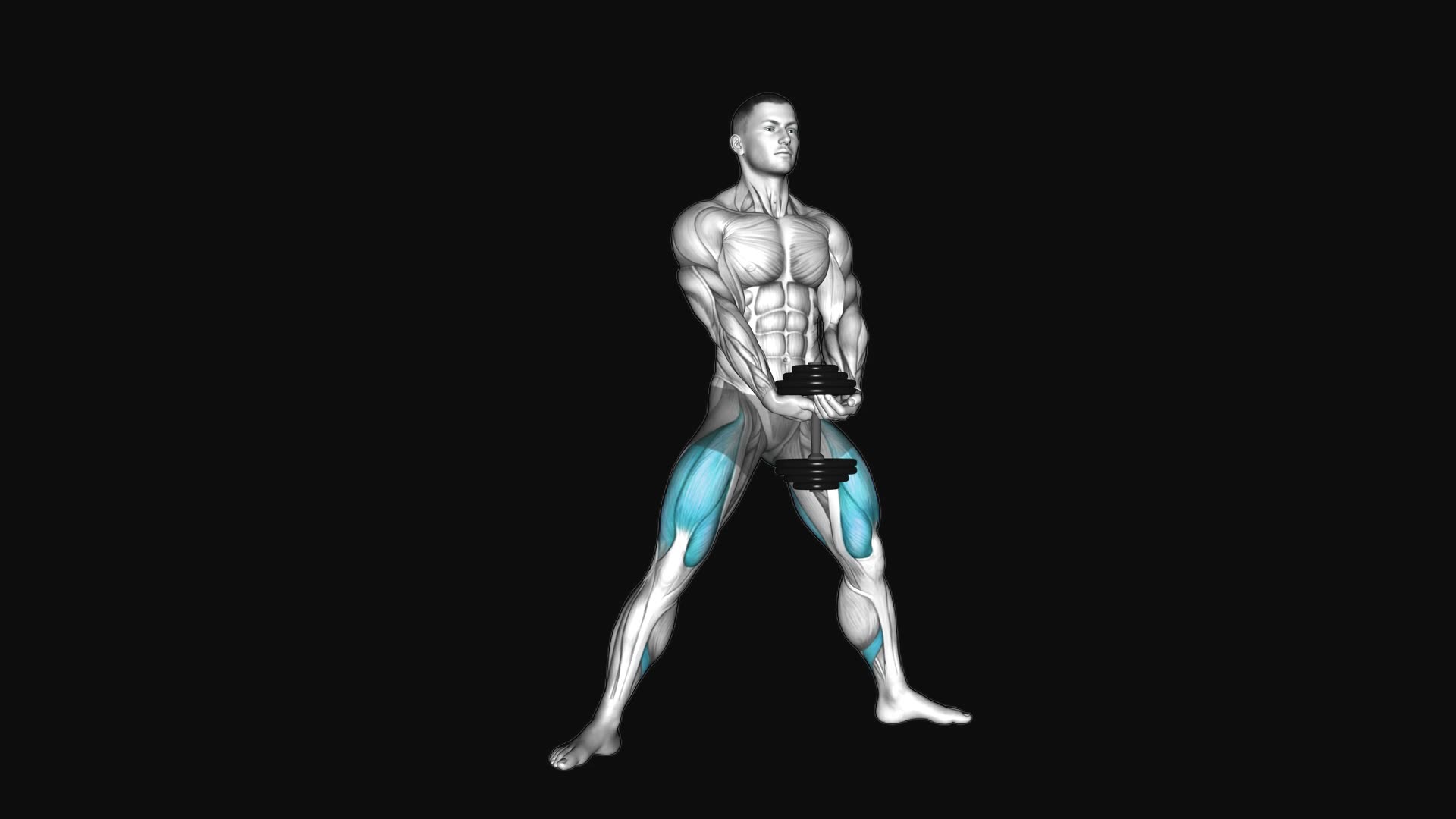 Dumbbell Plyo Squat