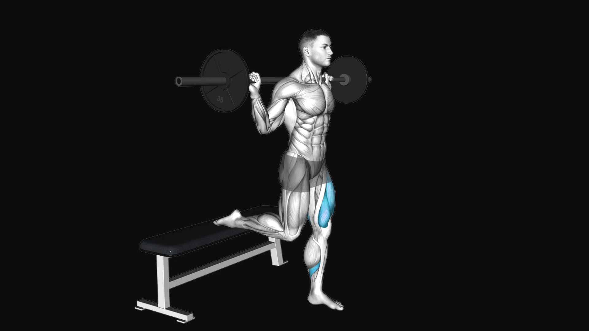 Barbell Single Leg Split Squat