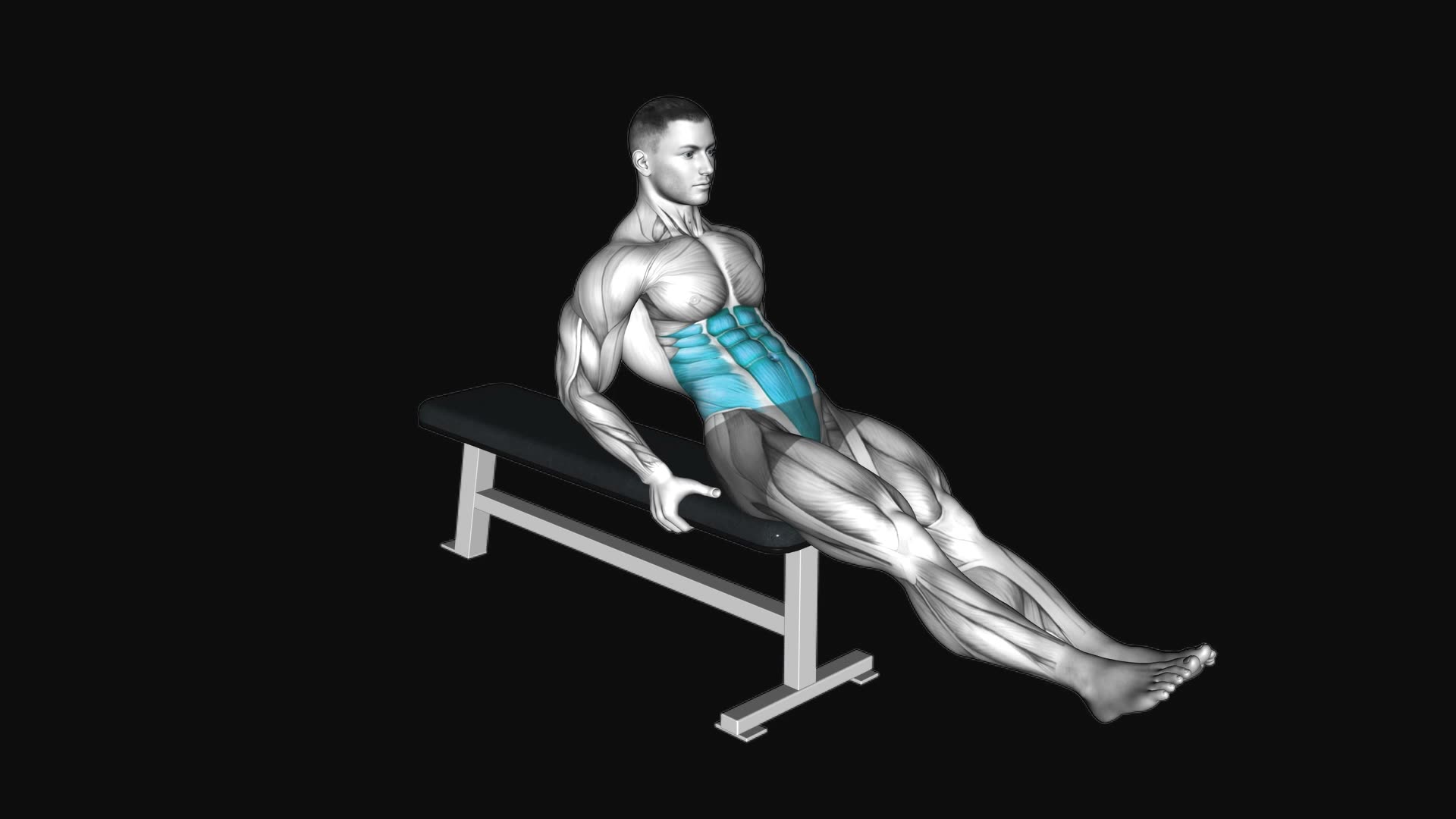 Seated Leg Raise