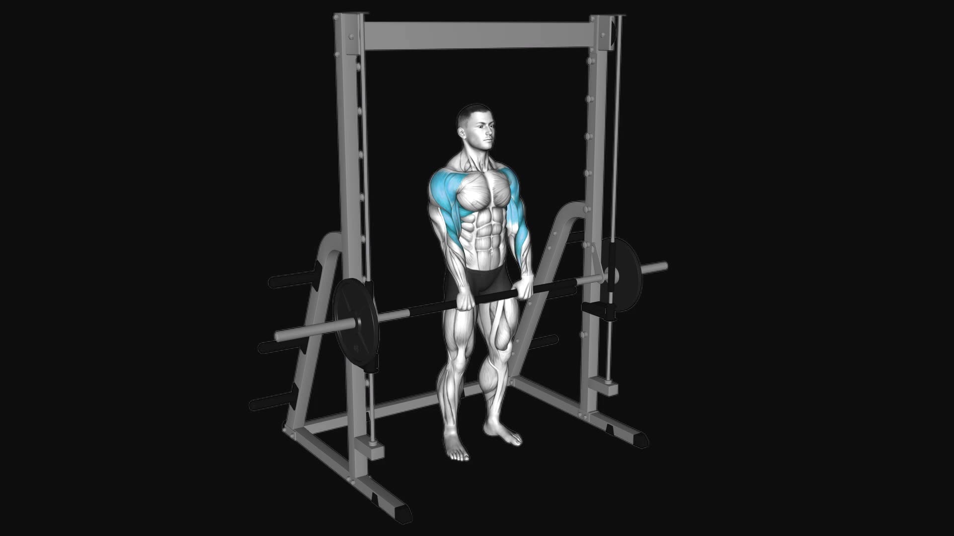 Smith Upright Row