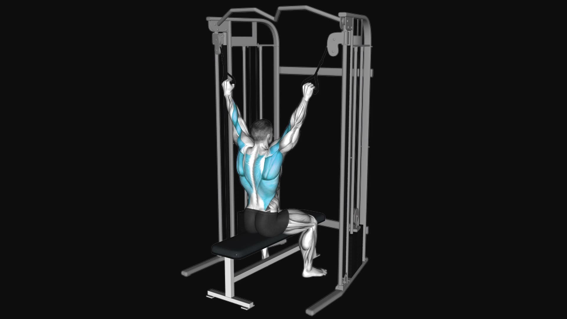 Cable Twin Handle Parallel Grip Lat Pulldown