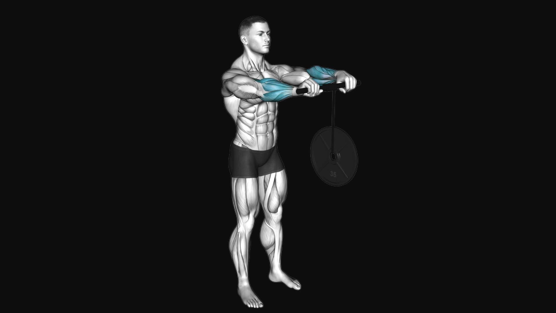 Wrist Roller