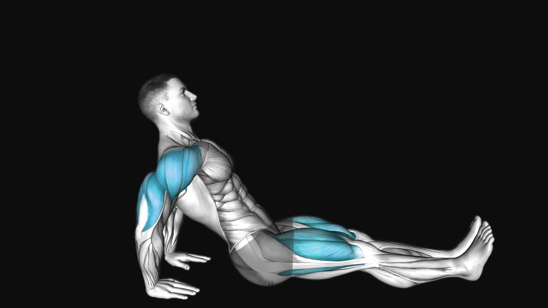Reverse plank