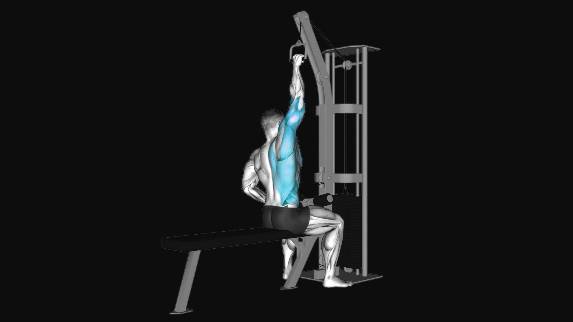 Cable one arm lat pulldown