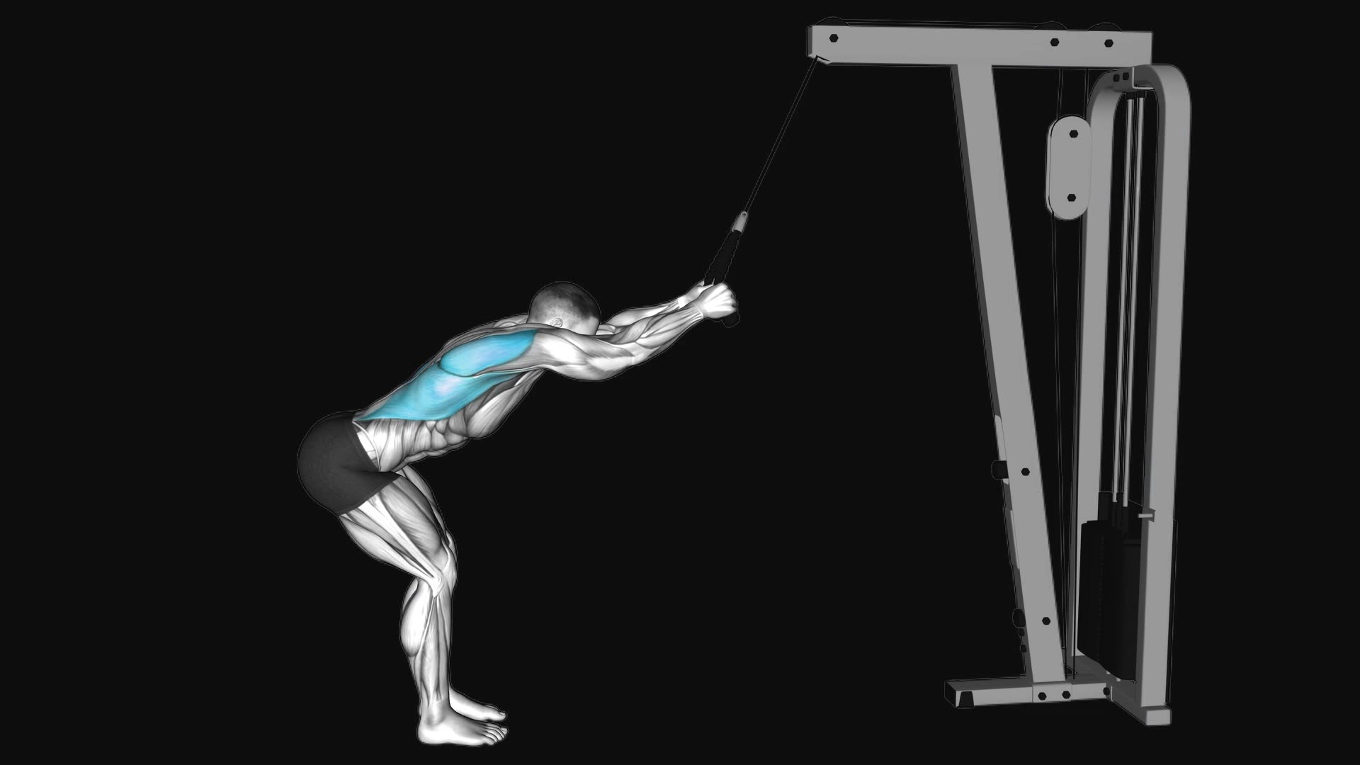 Cable Standing Lat Pushdown (rope equipment)