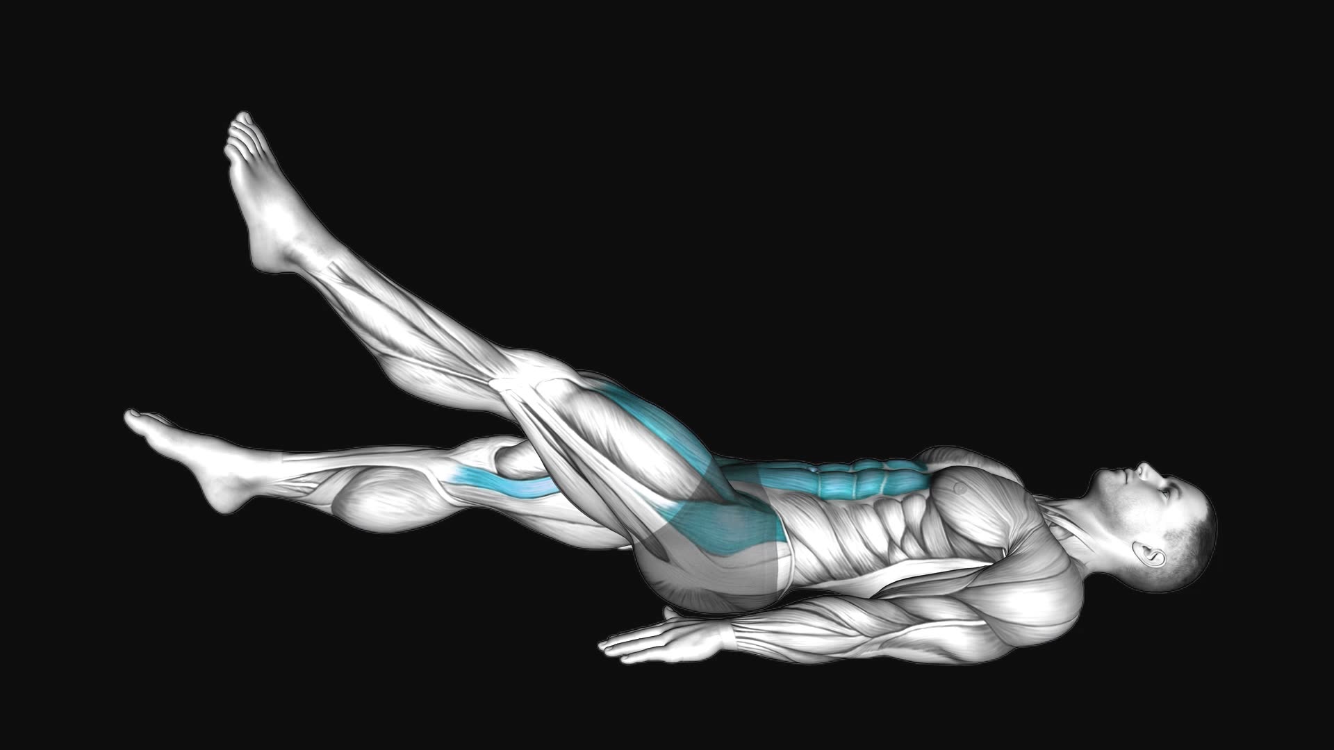 Flutter Kicks