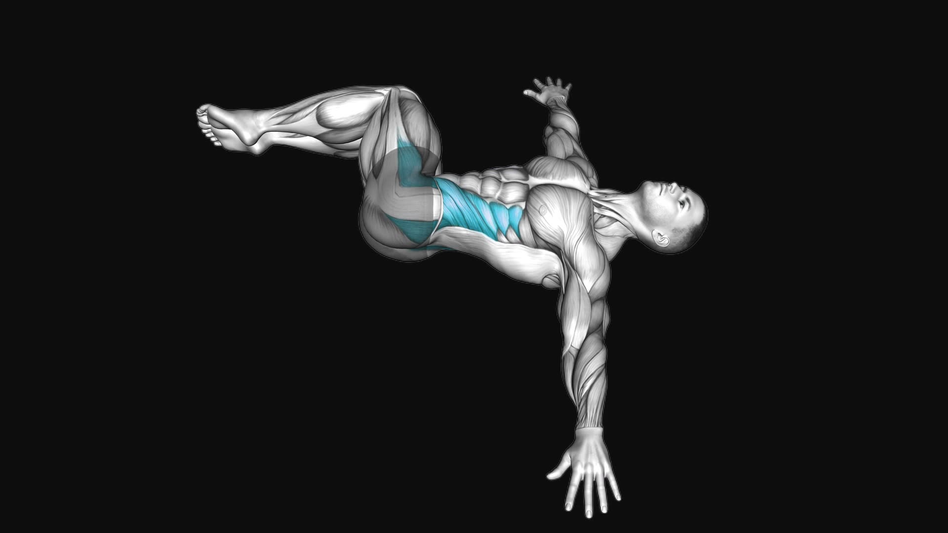 Half Wipers (bent leg)