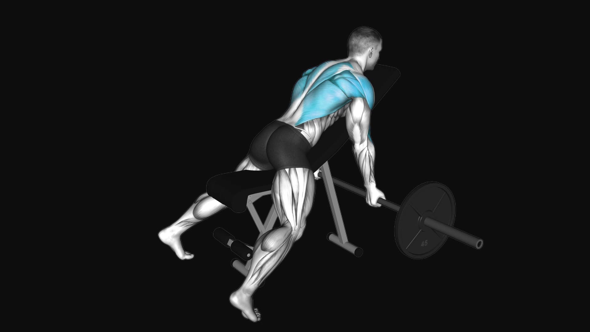 Barbell Reverse Grip Incline Bench Row