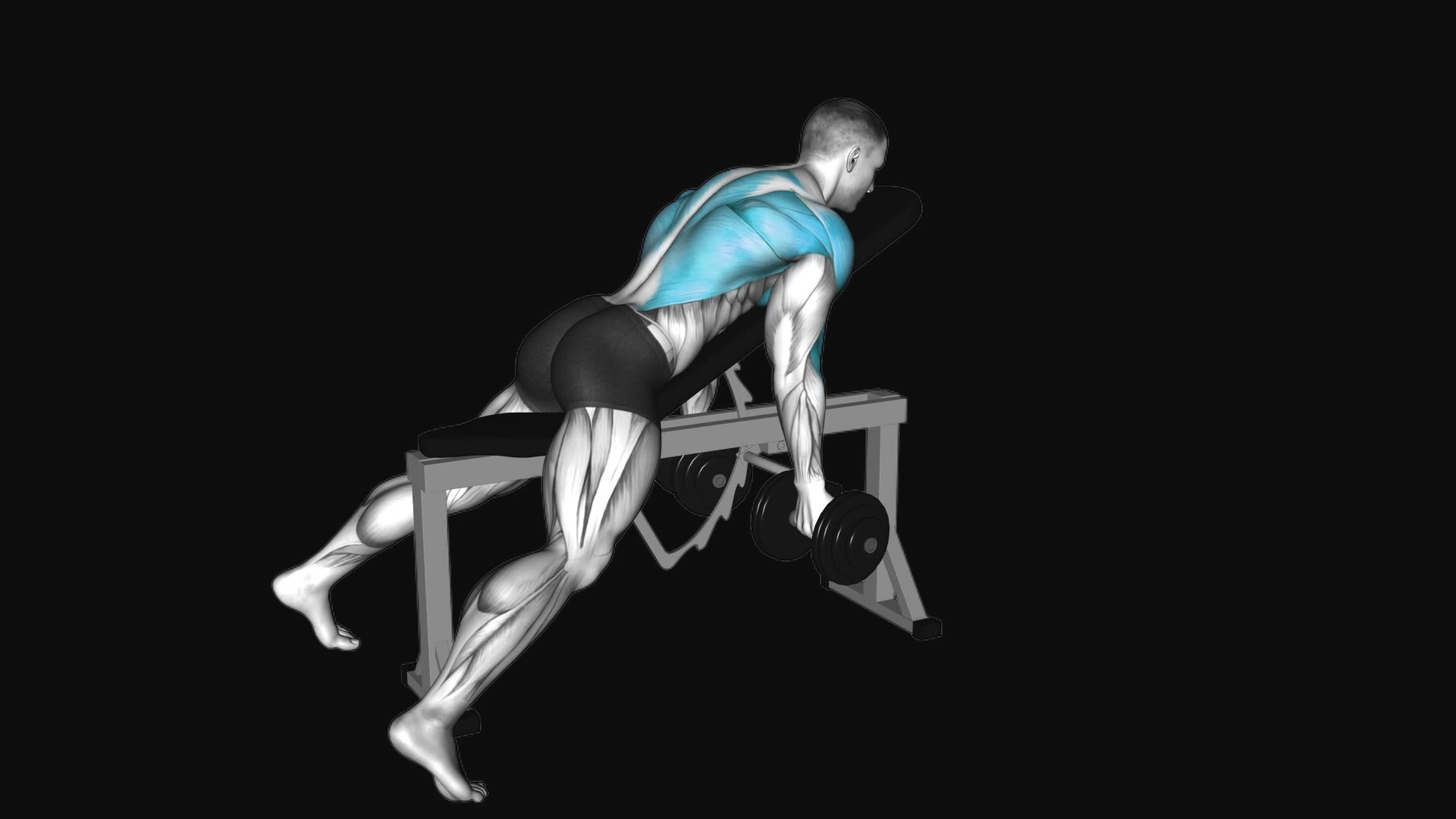 Dumbbell Lying Rear Delt Row