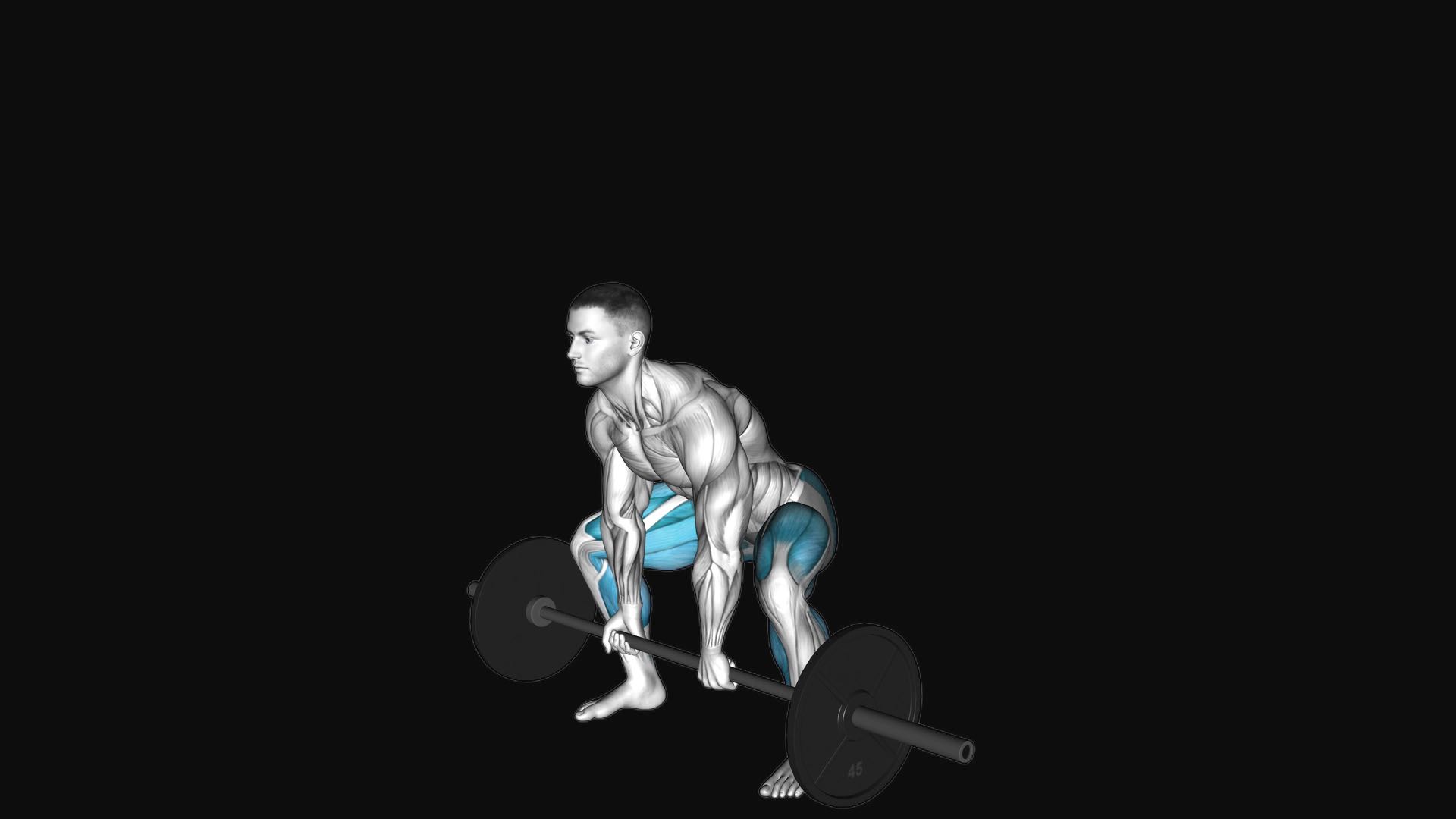 Barbell Sumo Deadlift