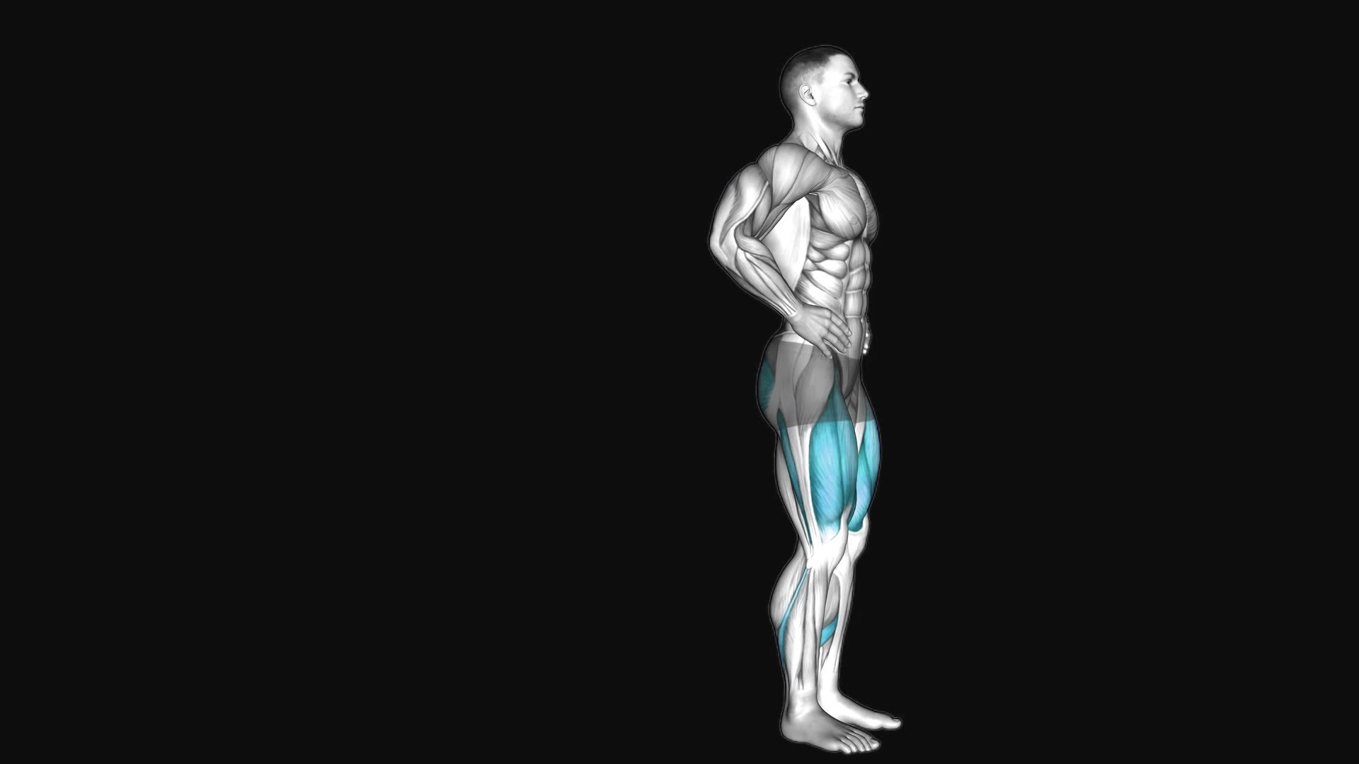 Bodyweight Rear Lunge