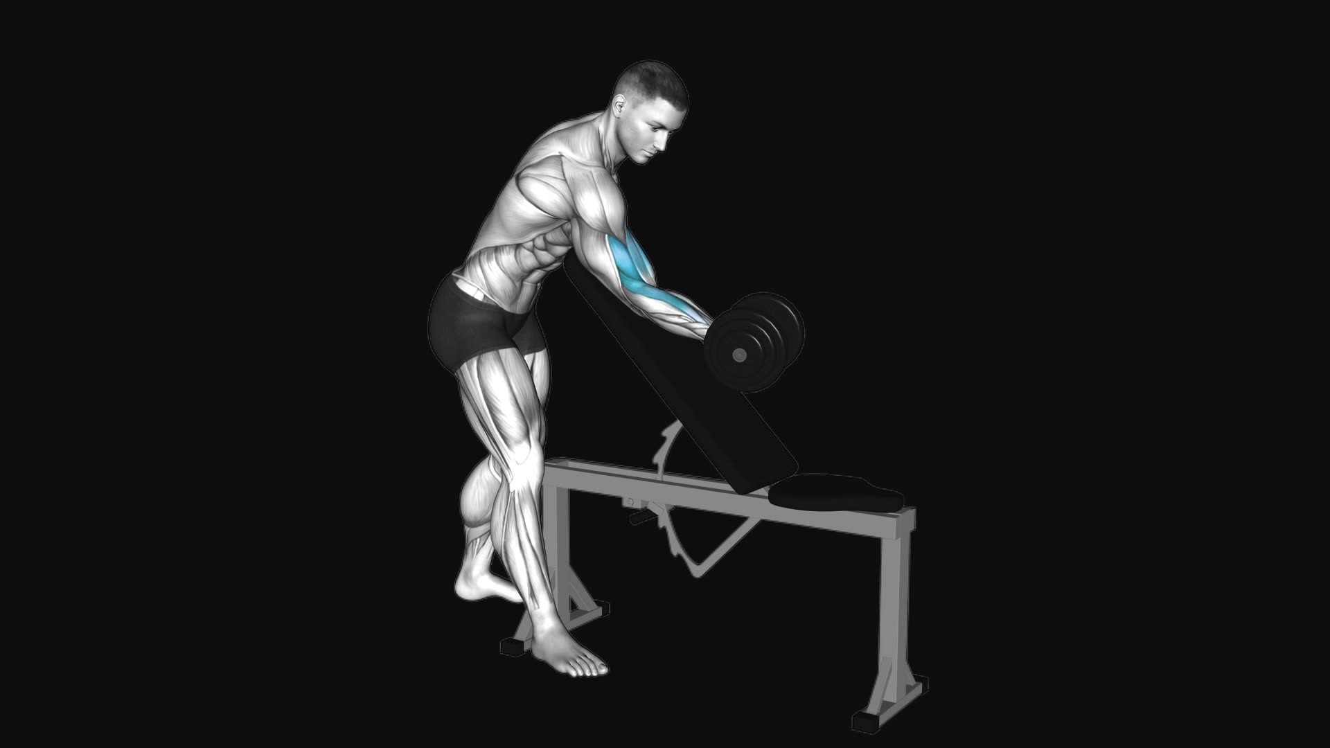 Dumbbell One Arm Zottman Preacher Curl