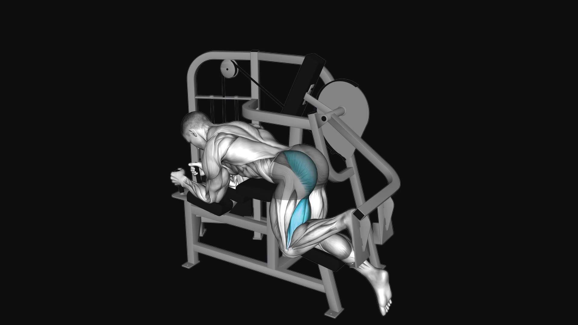 Lever Hip Extension