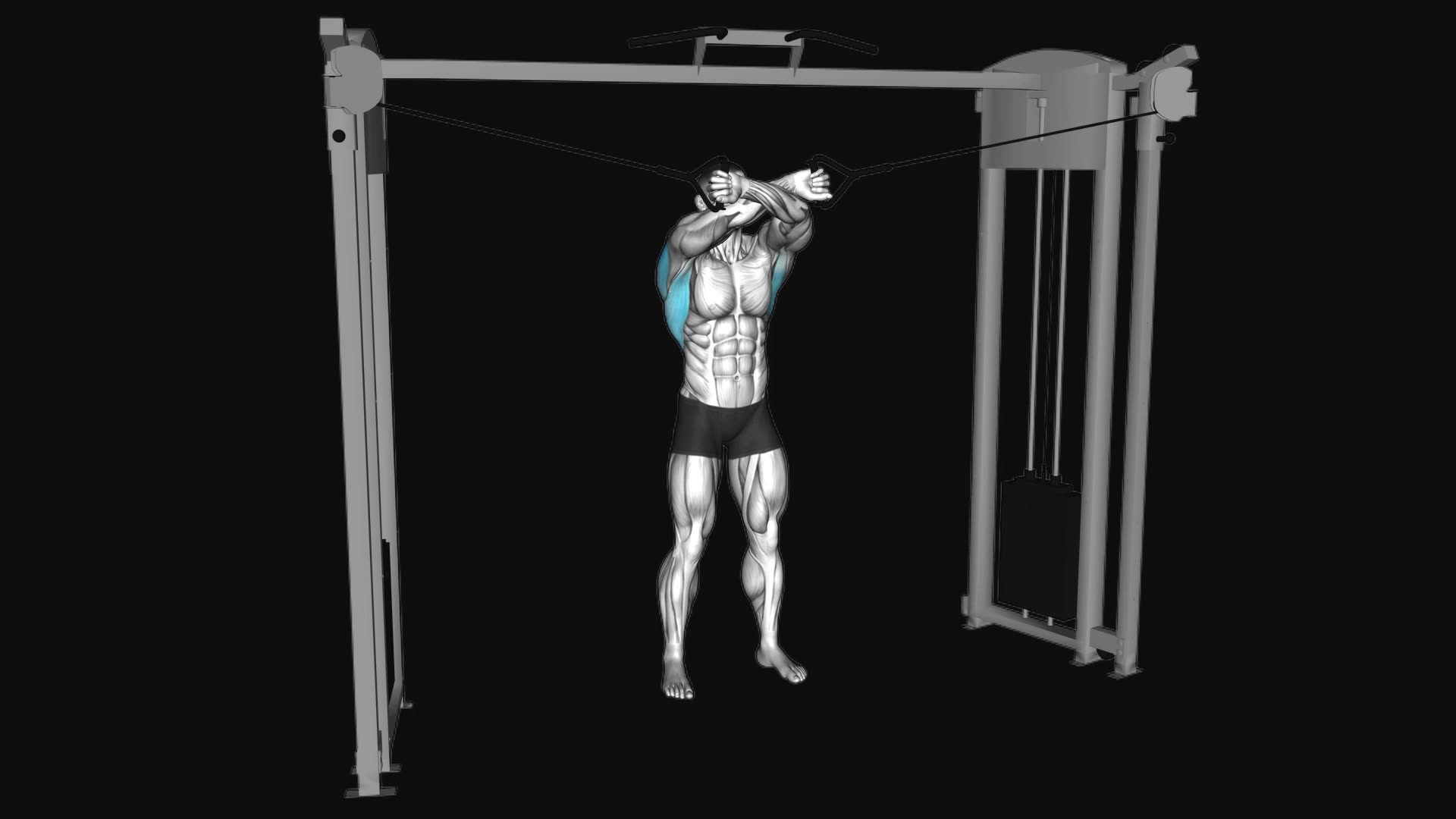 Cable Lat Pulldown Full Range Of Motion