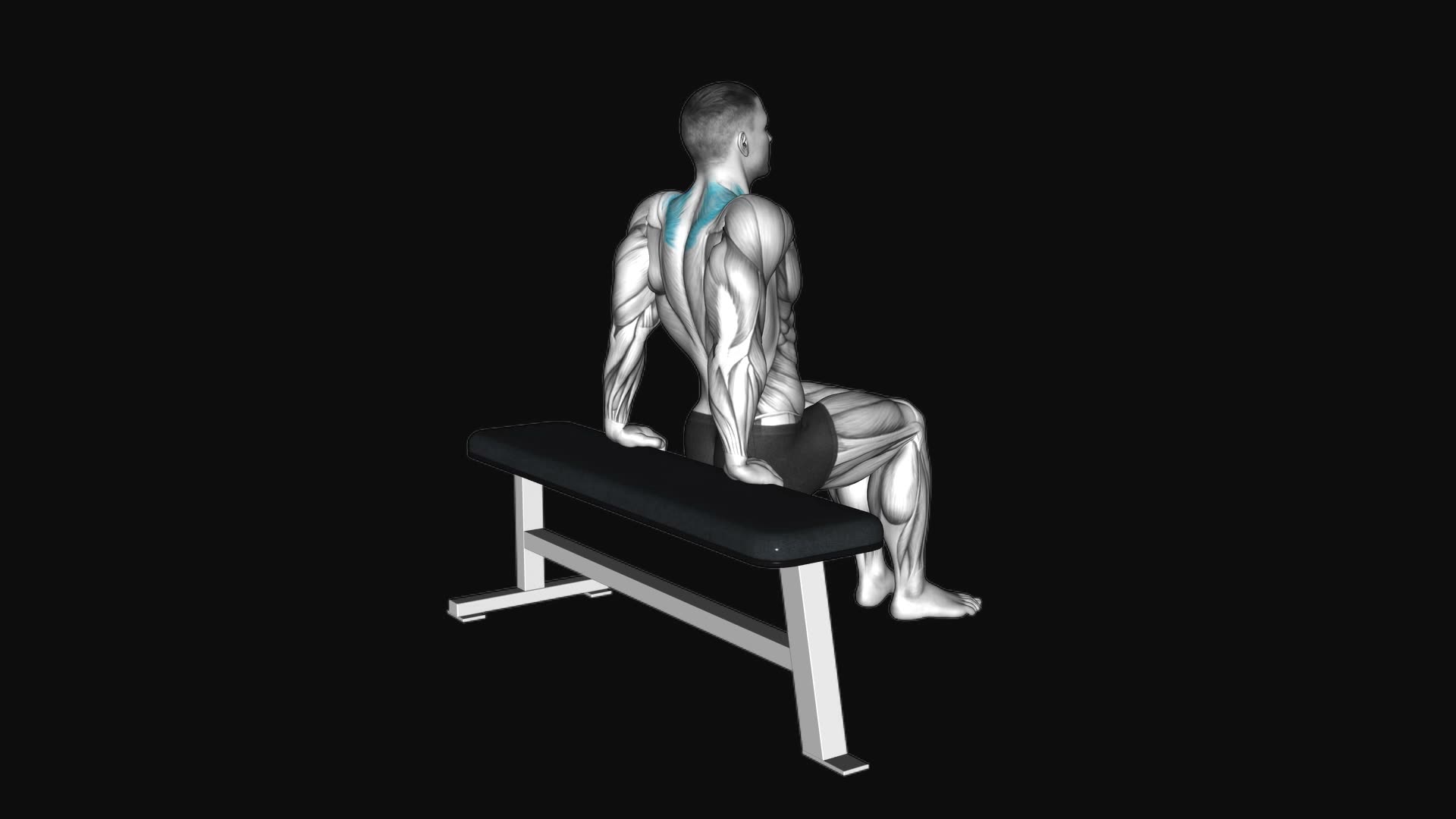 Scapula Dips