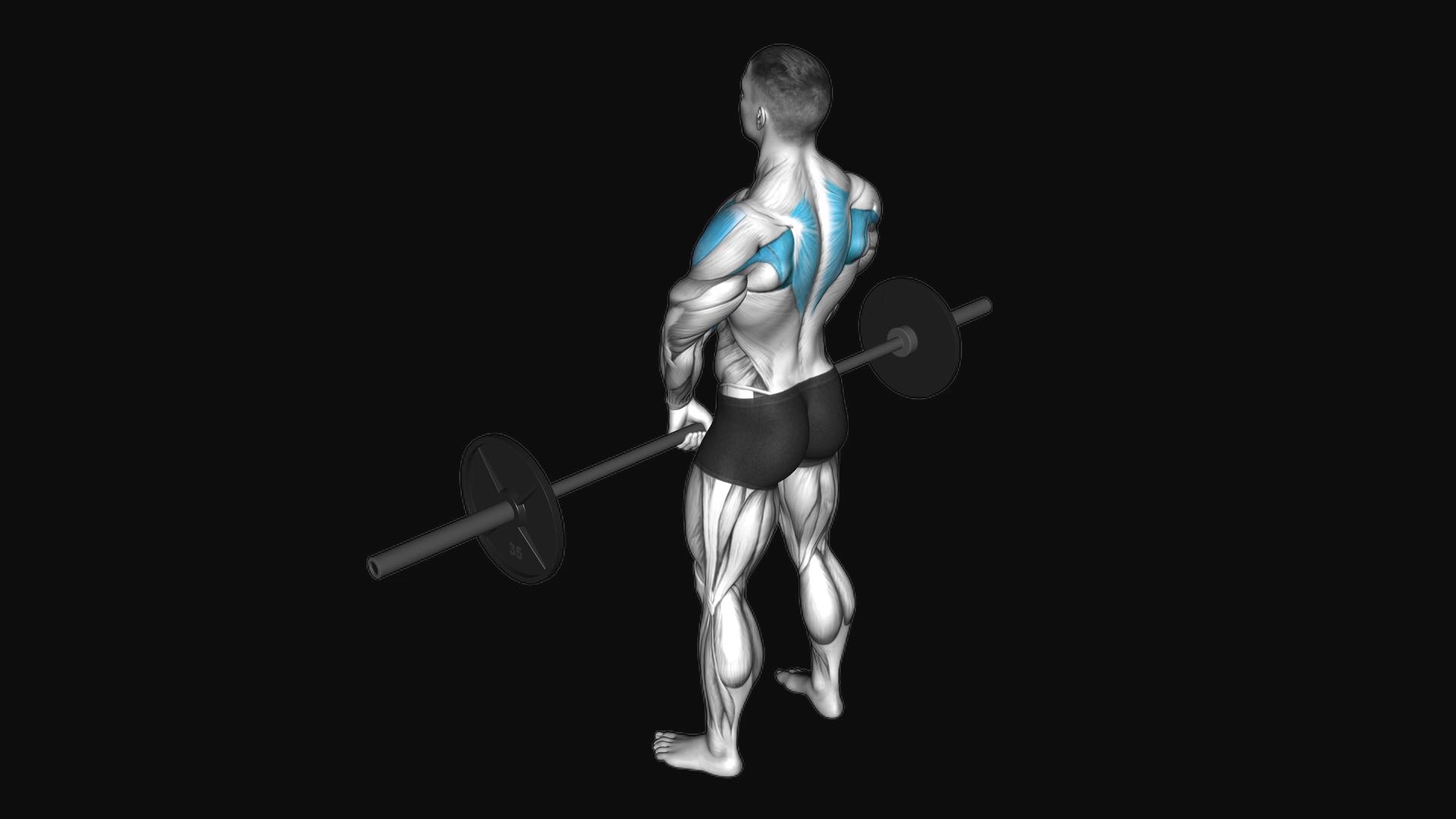 Barbell Upright Row