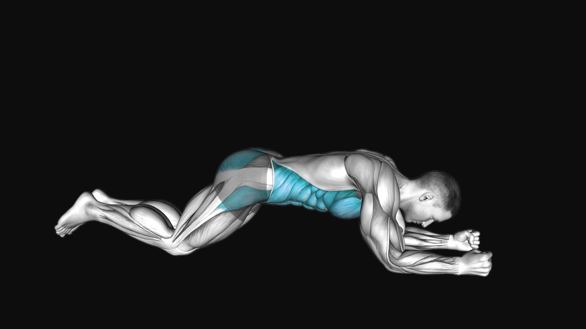 Kneeling plank
