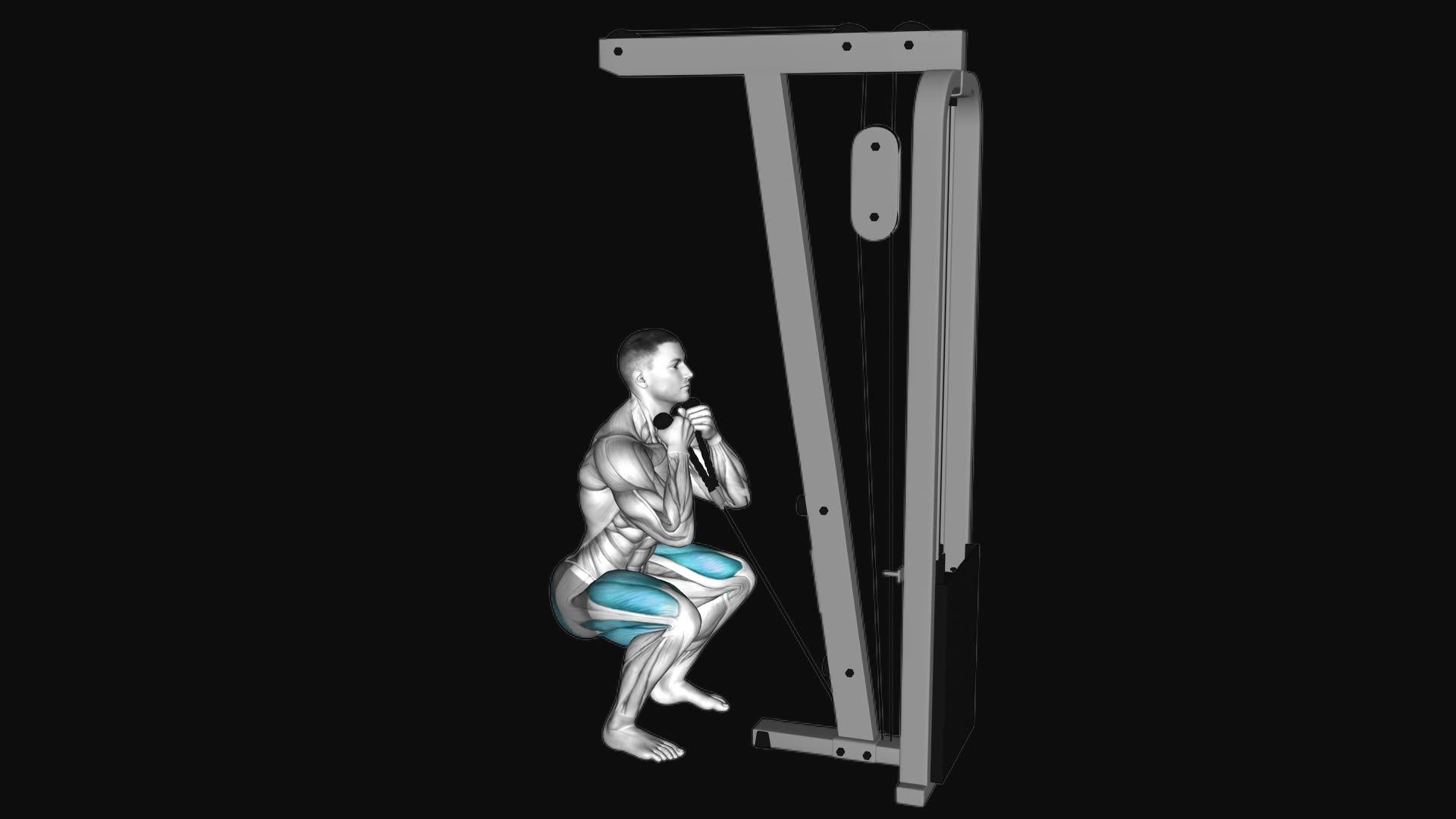 Cable Front Squat