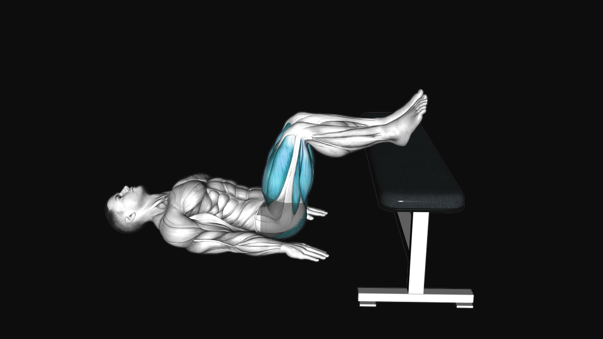 Glute Bridge Two Legs on Bench
