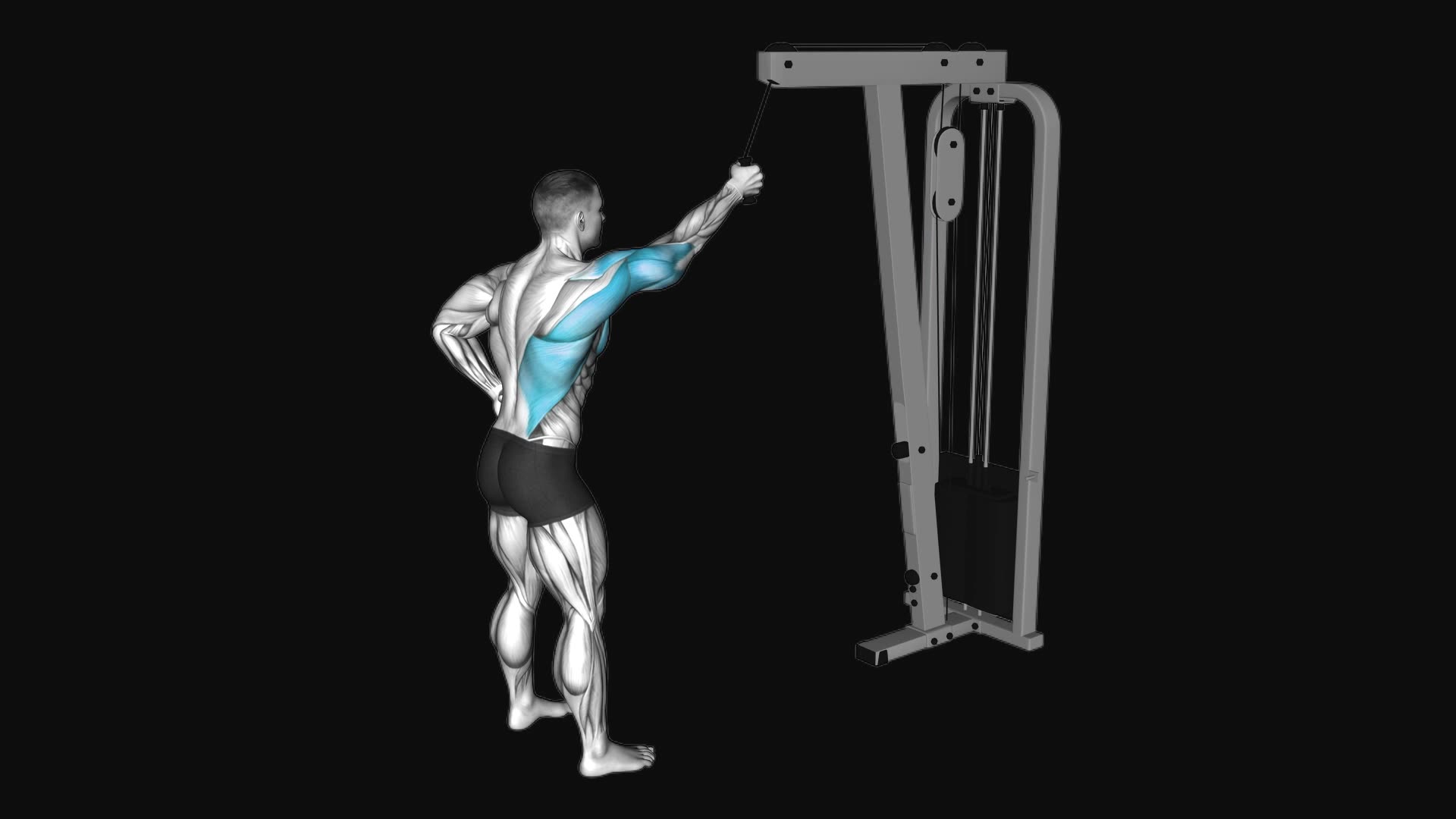 Cable One Arm Pulldown