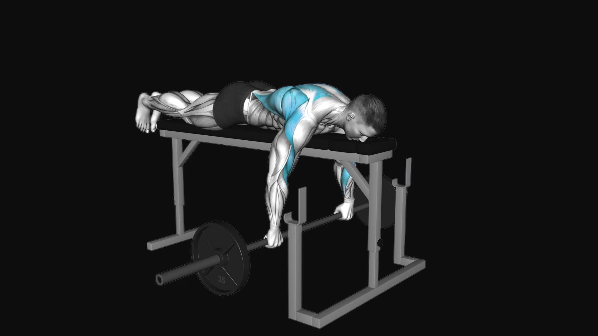 Barbell Lying Row on Rack