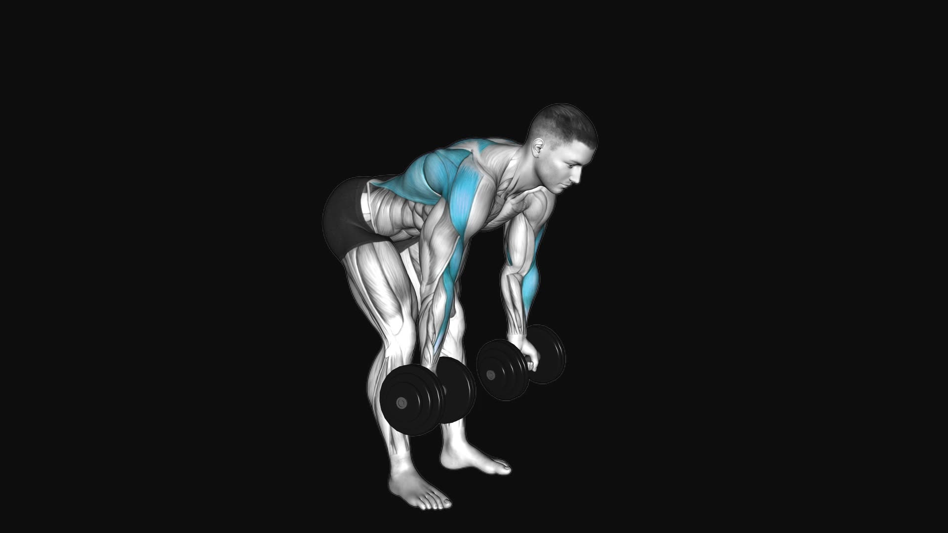 Dumbbell Bent Over Reverse Row