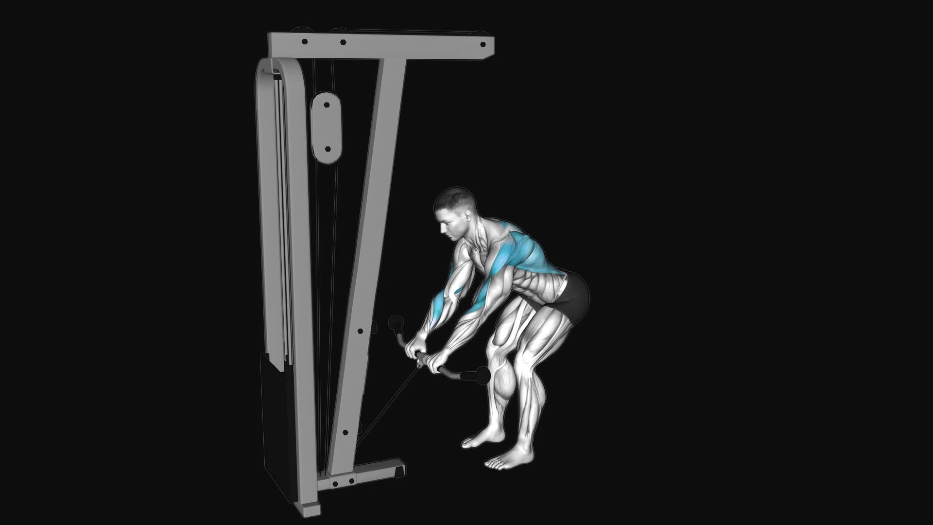Cable Bent Over Row