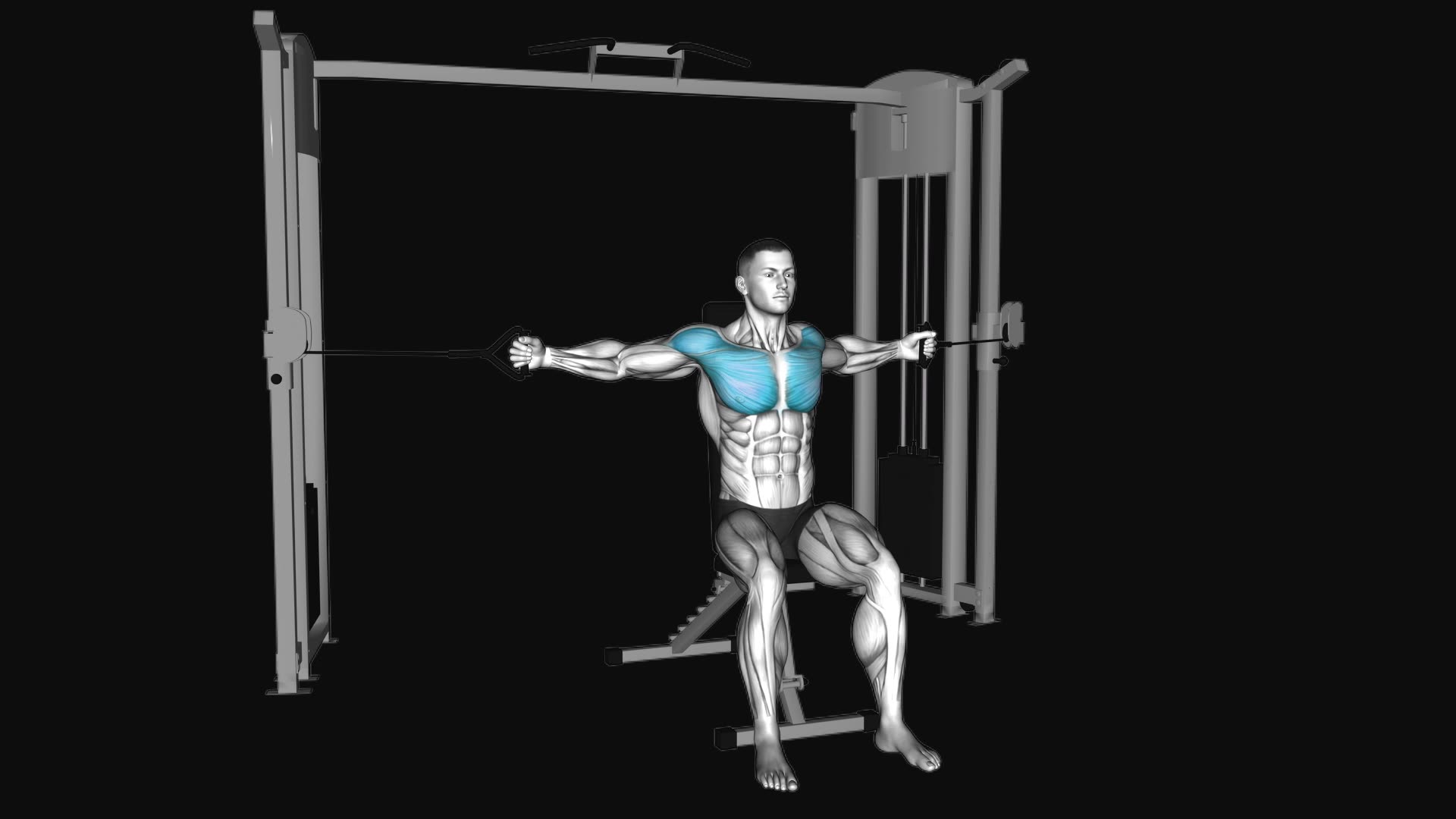 Cable Seated Chest Fly