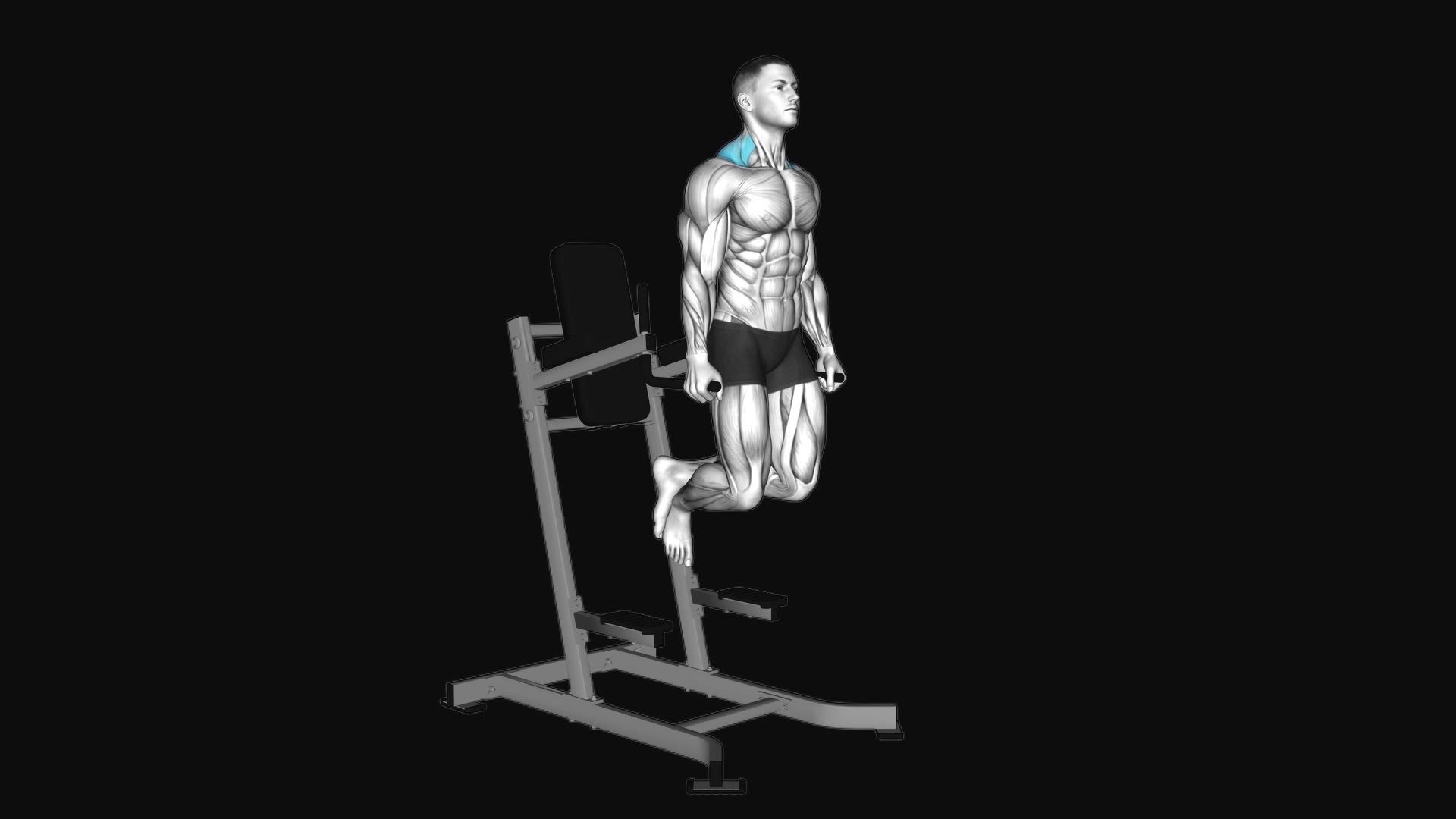 Shrug (on parallel bars)
