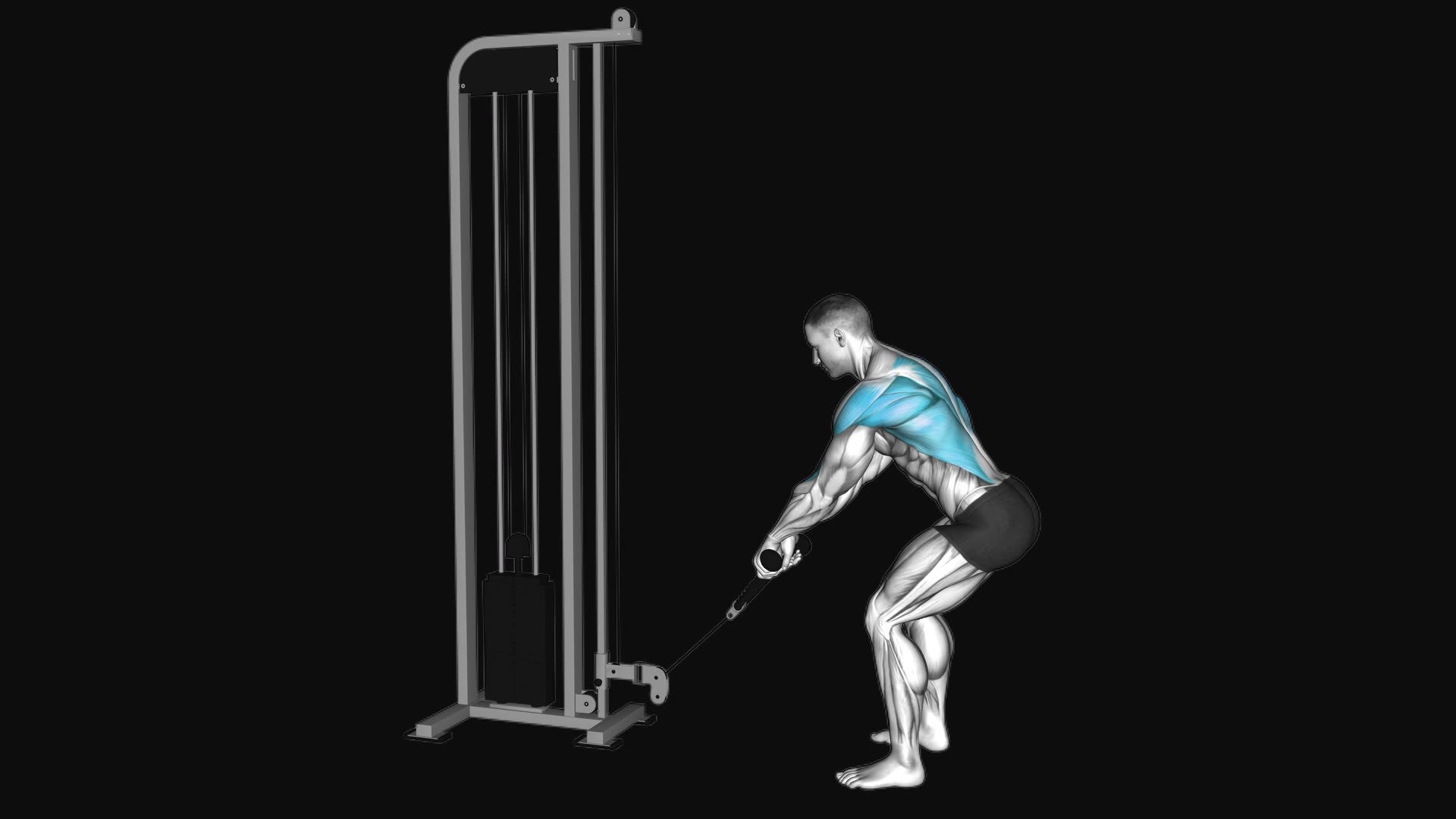 Cable Low Row with Rope Attachment