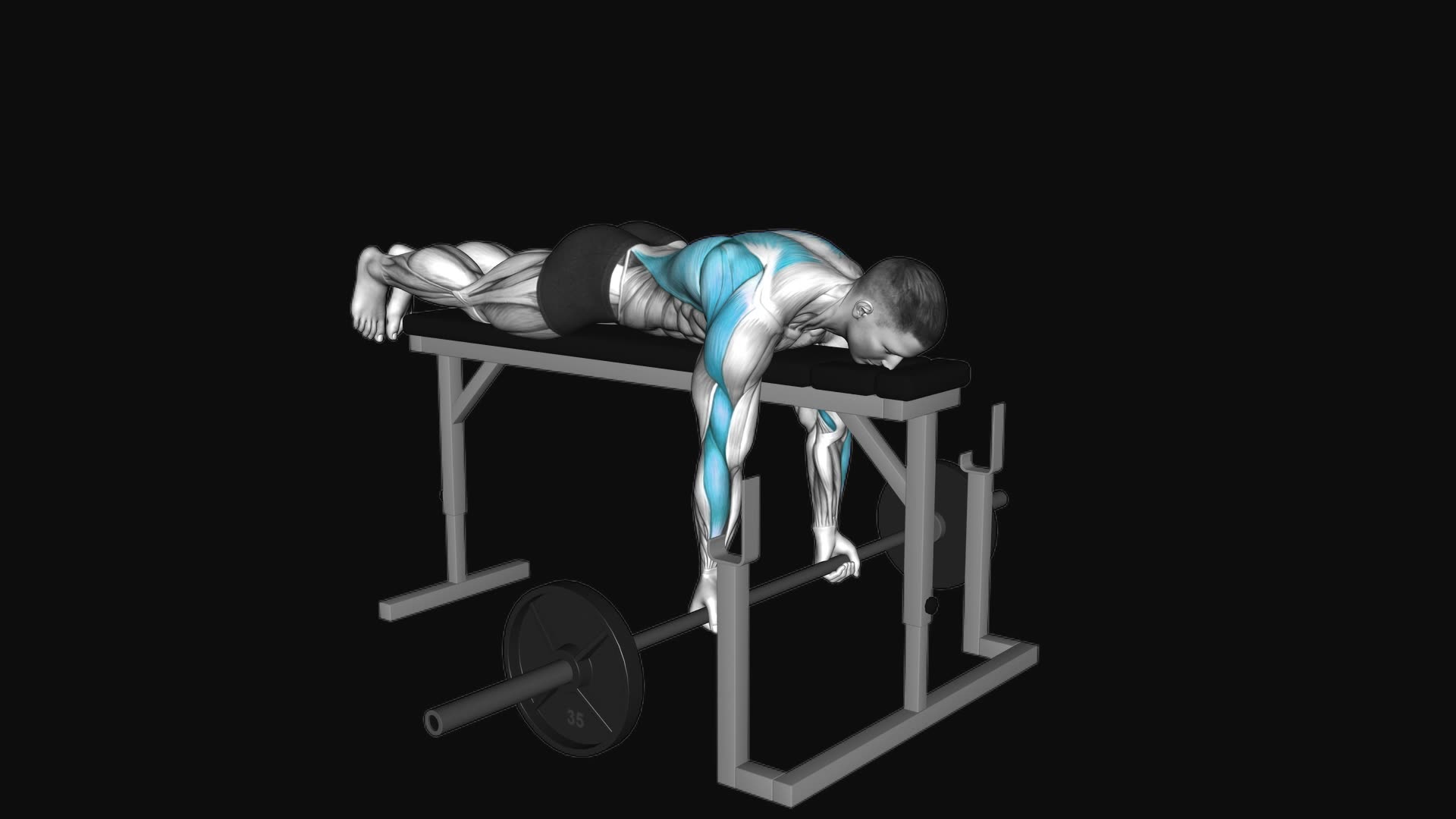 Barbell Lying Close Grip Underhand Row-on-Rack