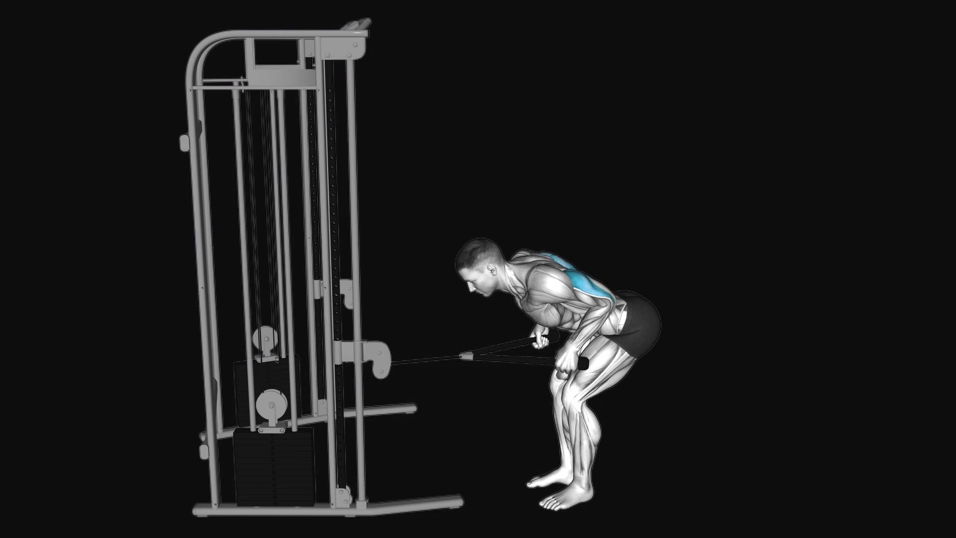 Cable Bent-Over Triceps Kickback (Rope Attachment)