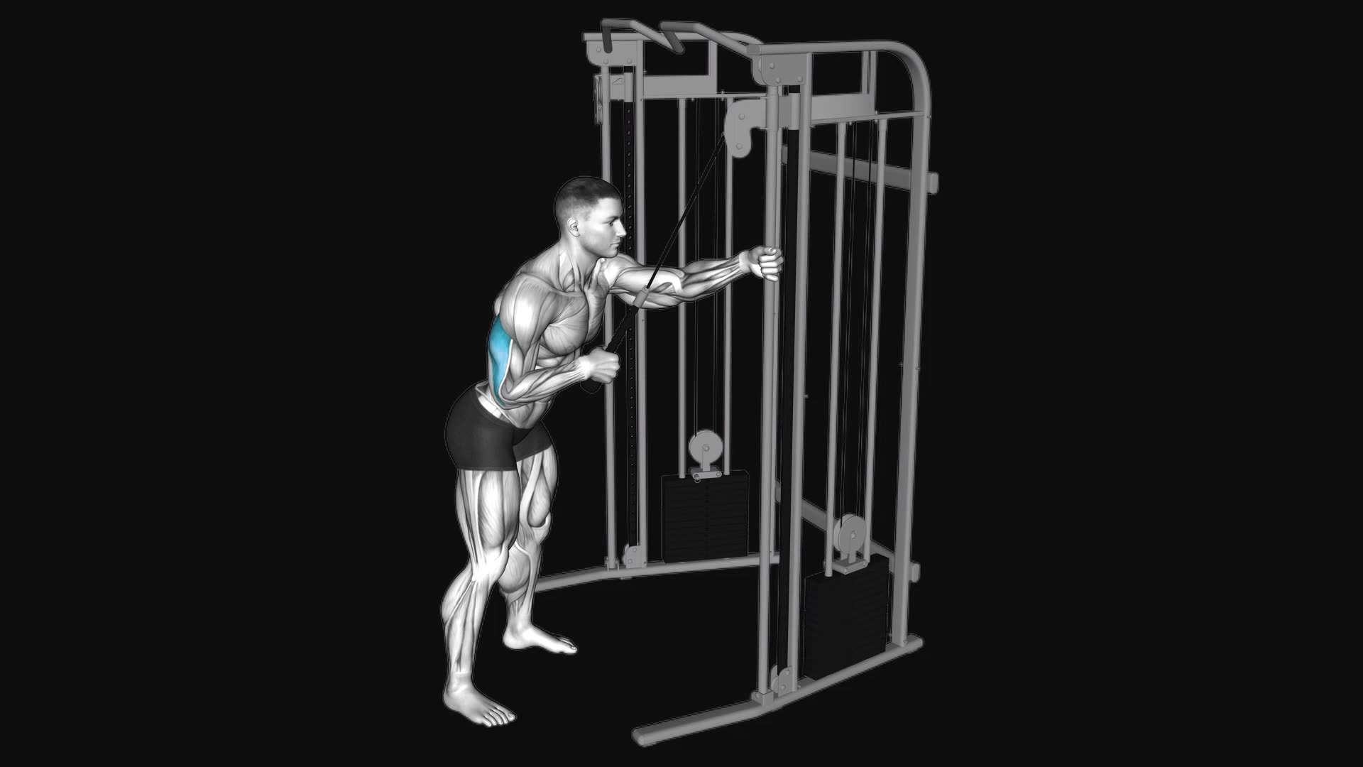 Cable Single Arm Triceps Pushdown (rope-attachment)