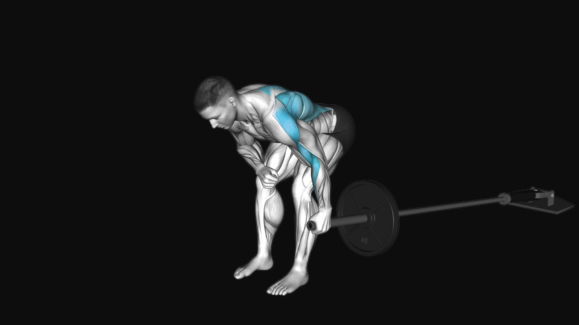 Landmine One Arm Bent Over Row
