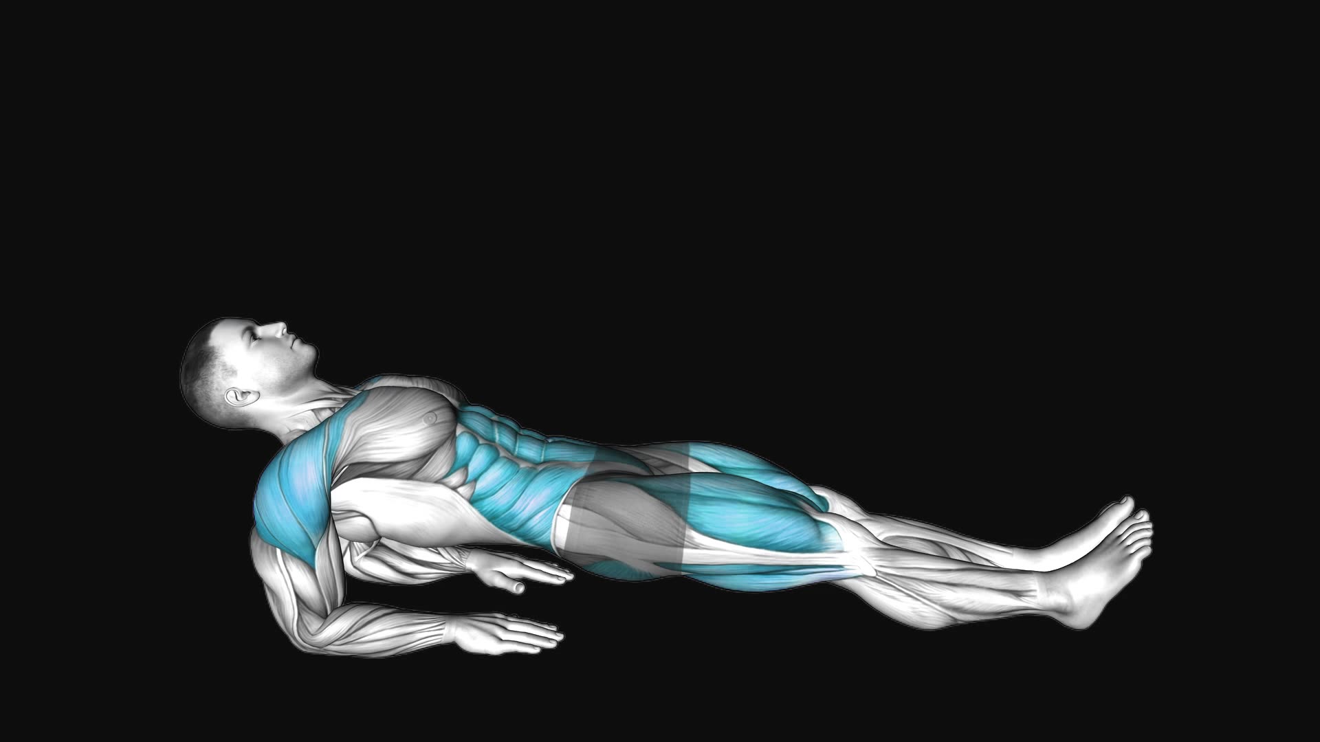 Reverse Plank on Elbows