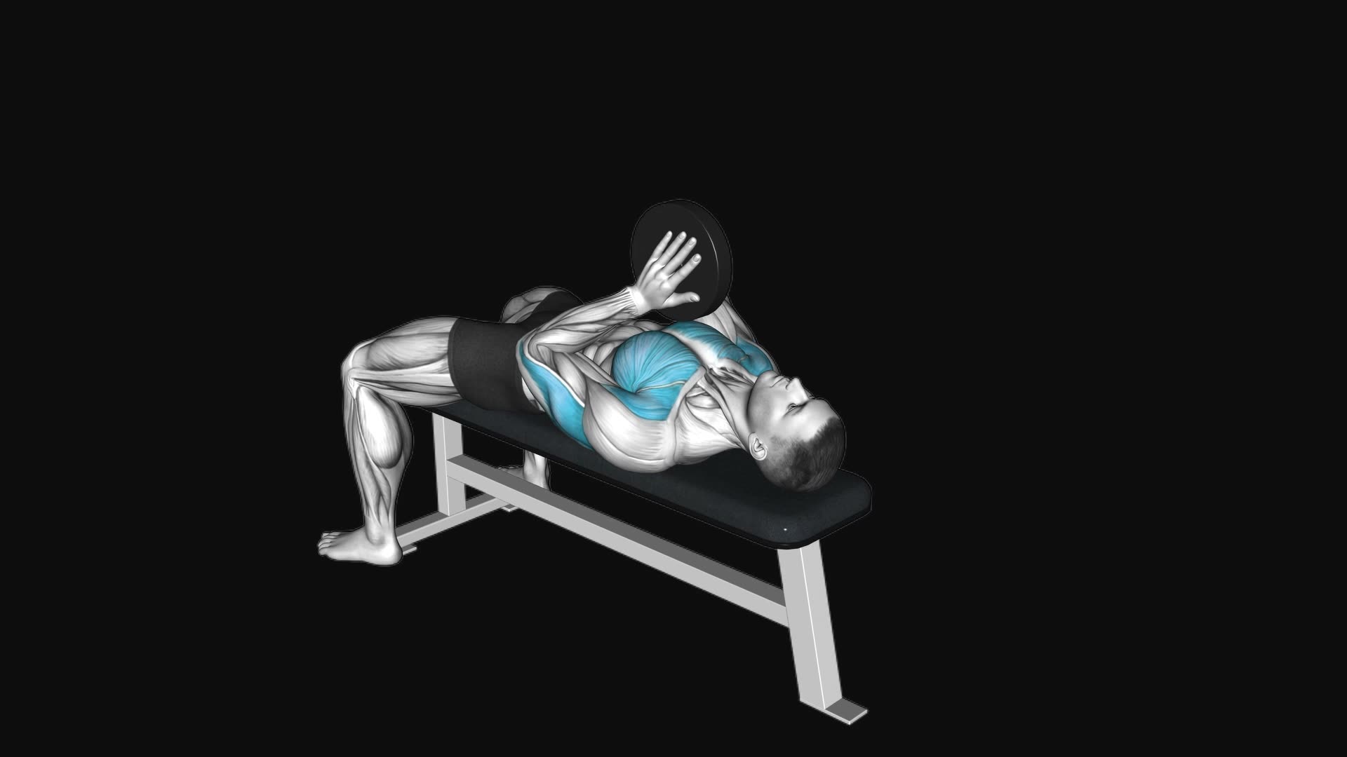 Svend Bench Press
