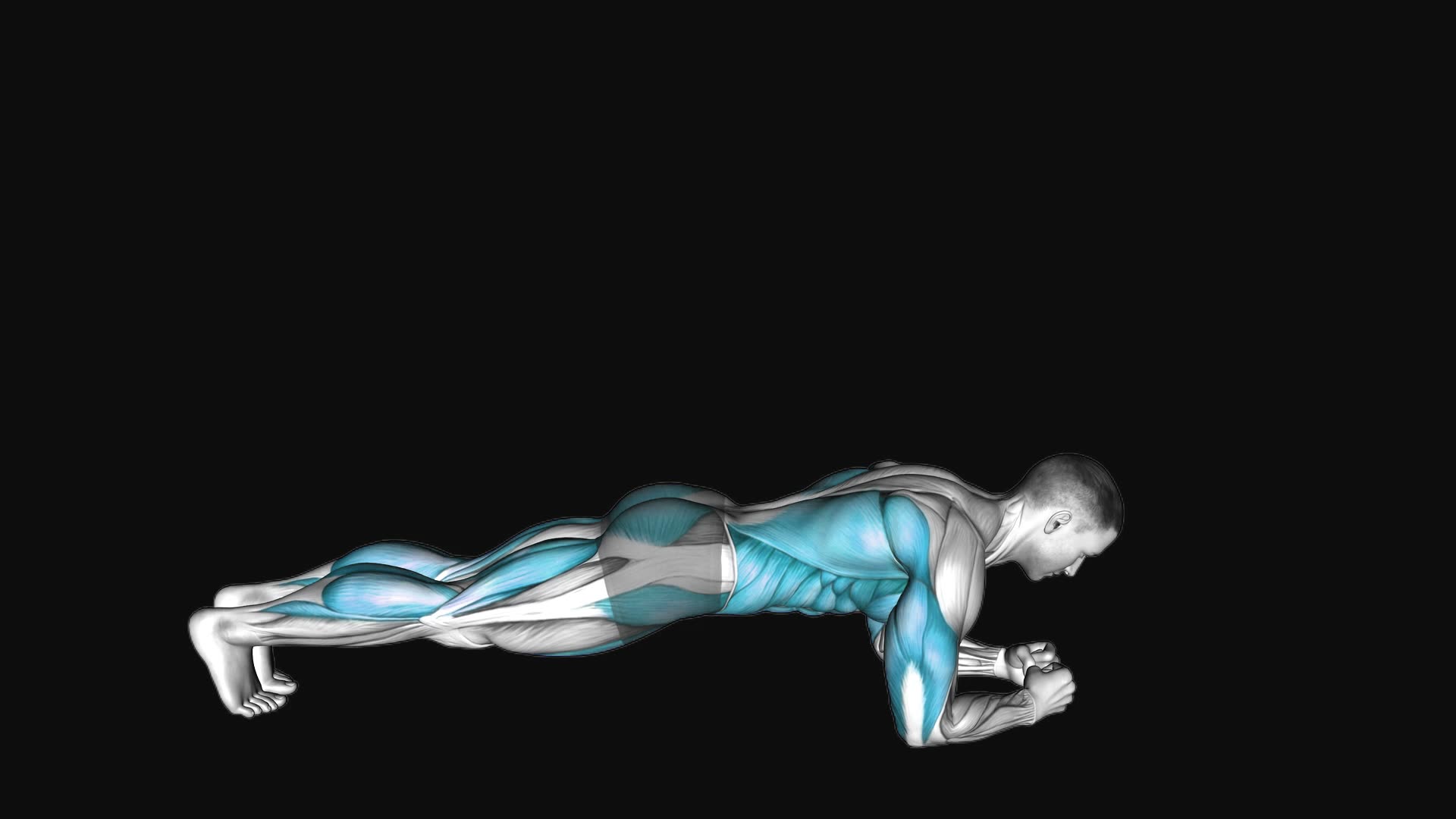 Front Plank with Arm and Leg Lift