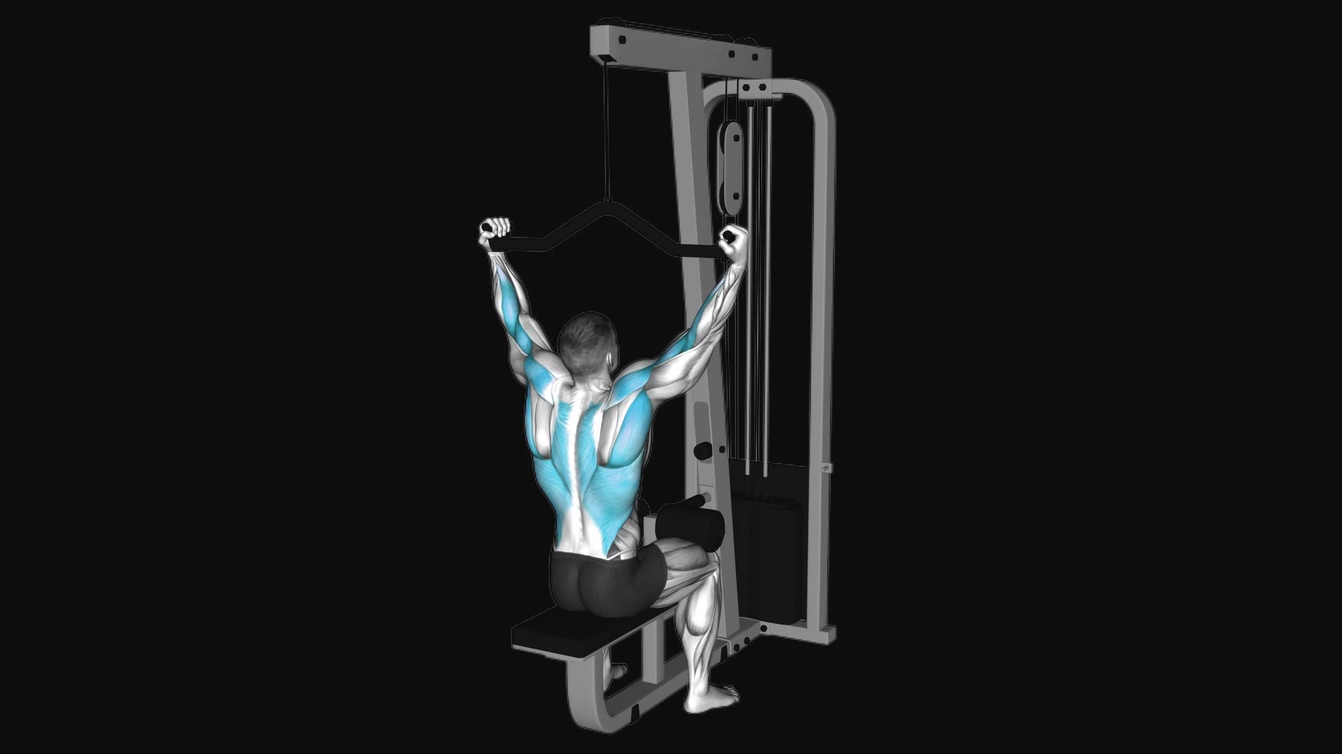 Cable Neutral Grip Wide Pulldown
