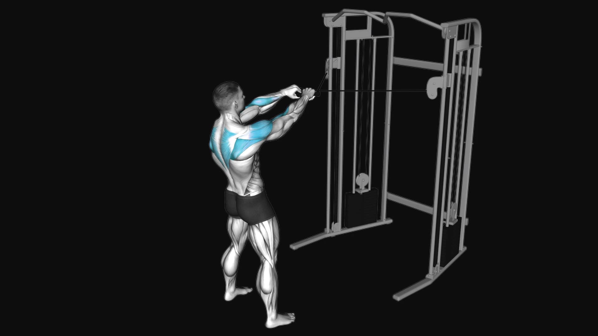 Cable Standing Face Pull