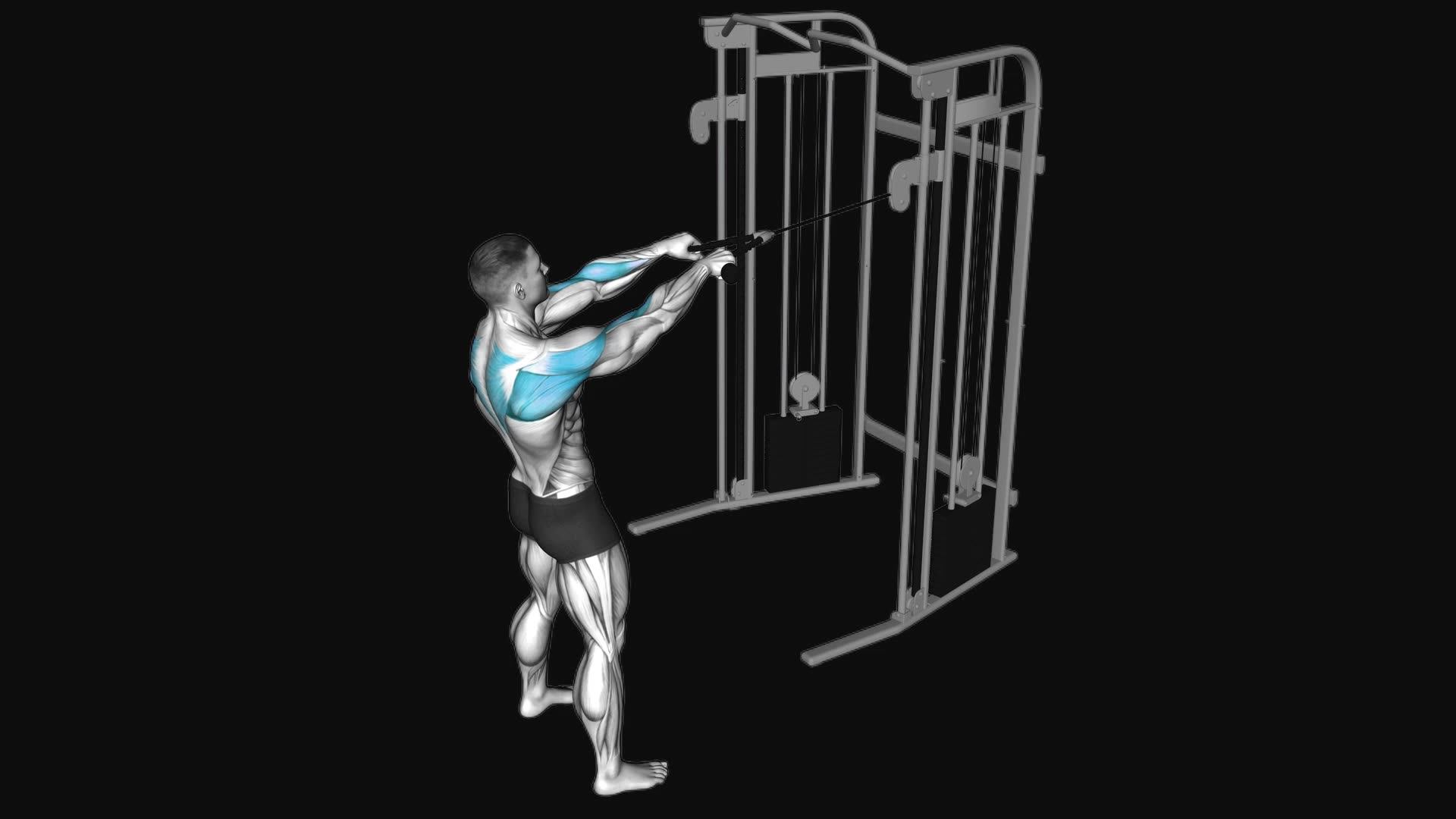 Cable Standing Face Pull (with-rope)