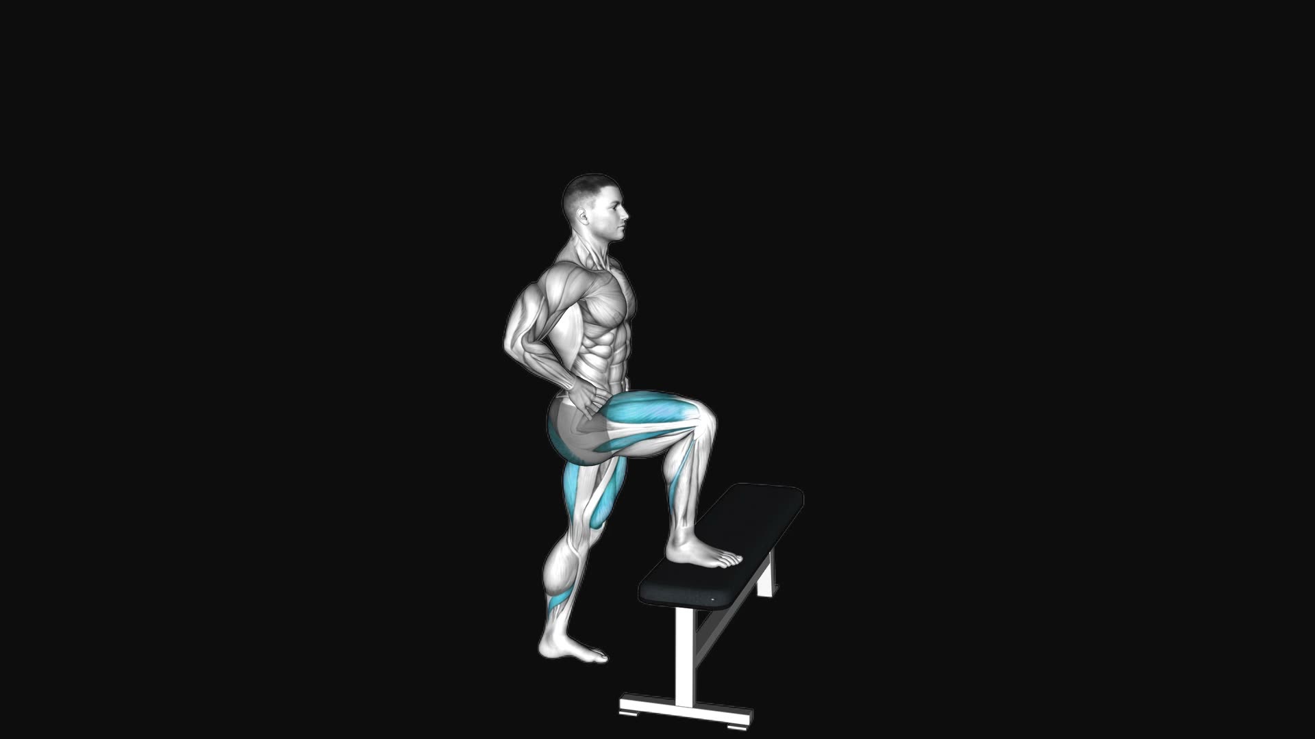 Bodyweight Step-up