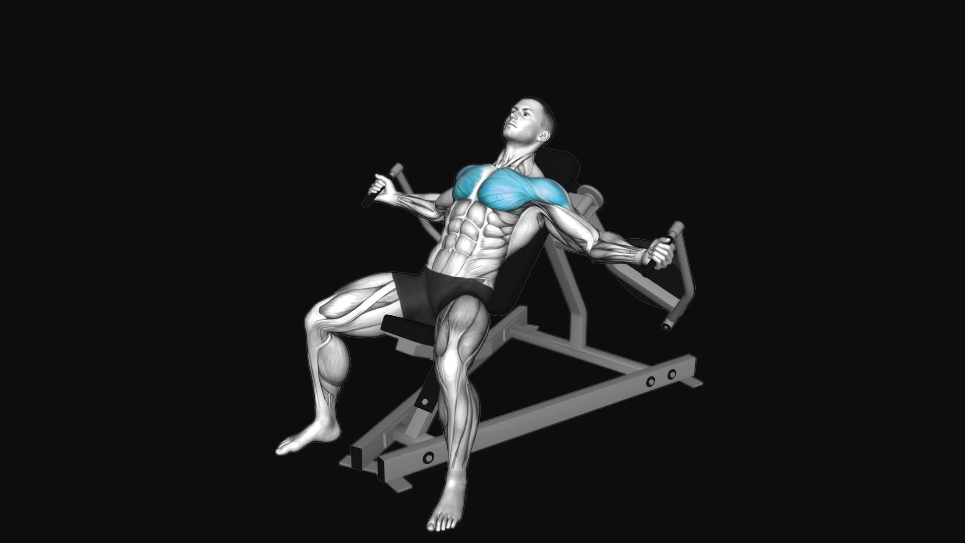 Lever Incline Fly