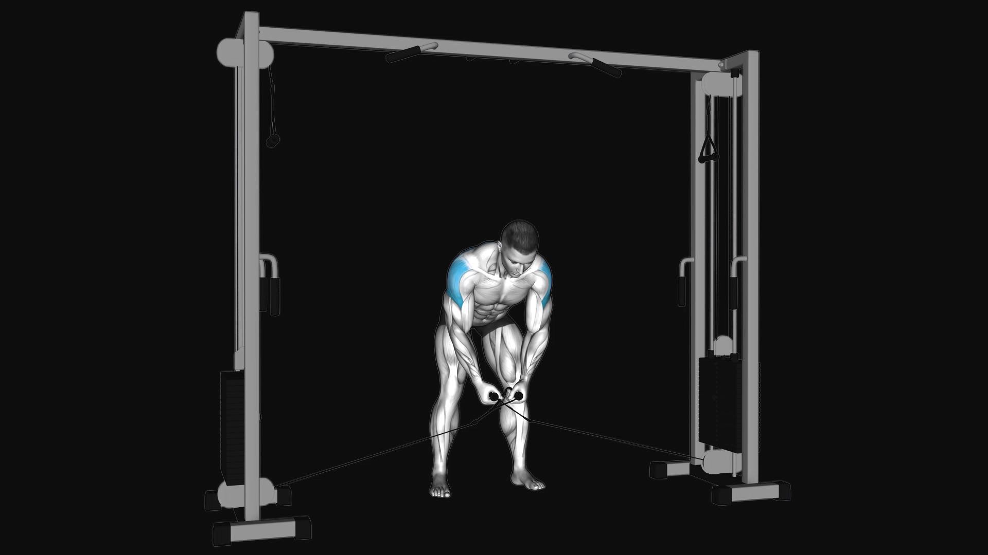 Cable Cross Over Reverse Fly
