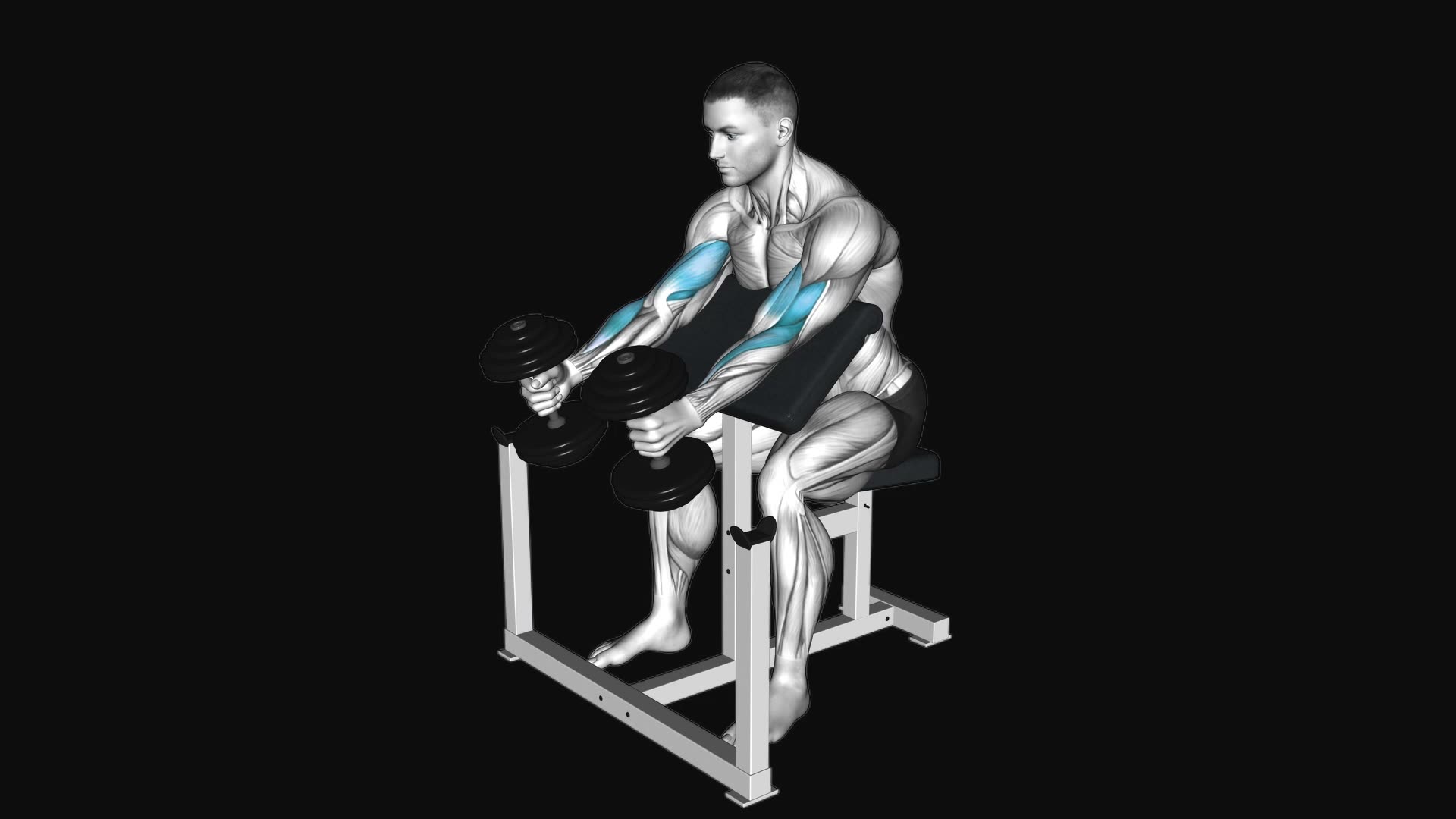 Dumbbell Hammer Preacher Curl