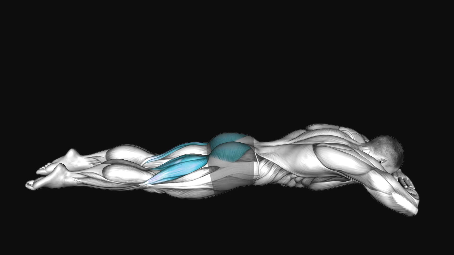 Lying Hyperextension Hold